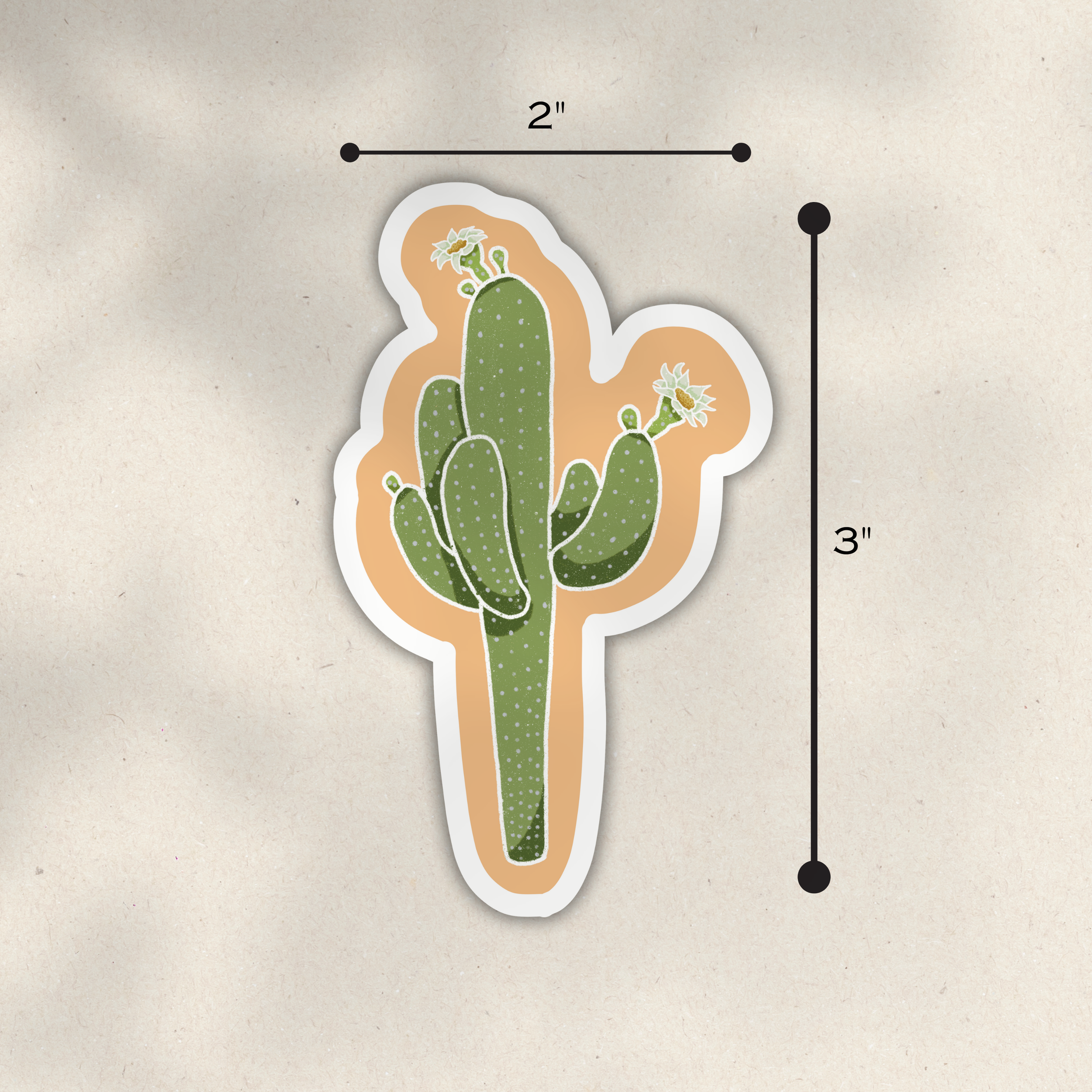 Saguaro 2.png
