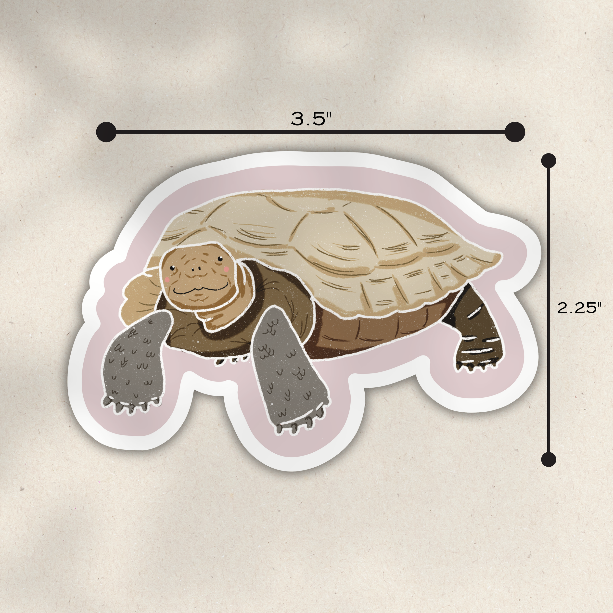 Desert Tortoise 2.png