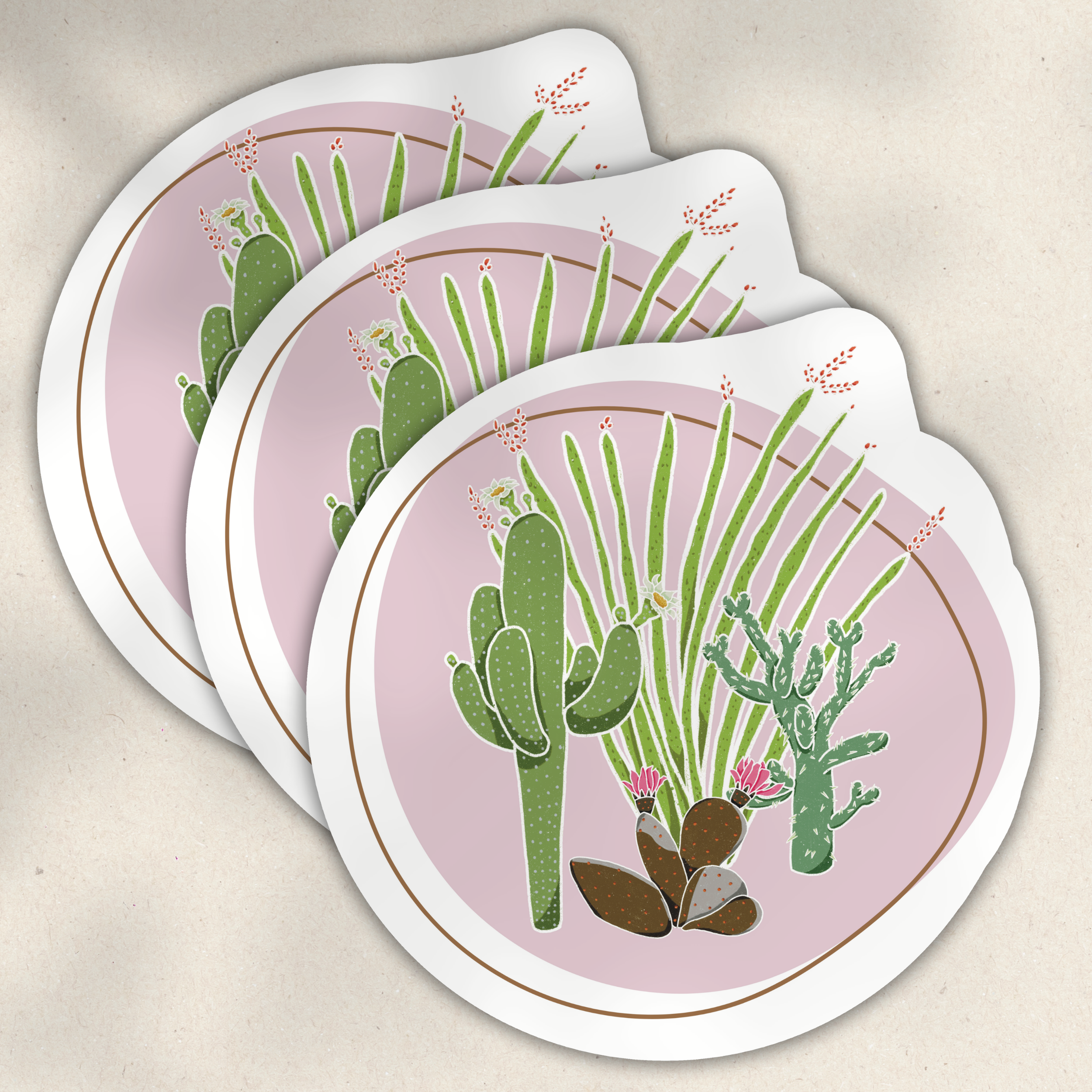 Cacti 3.png