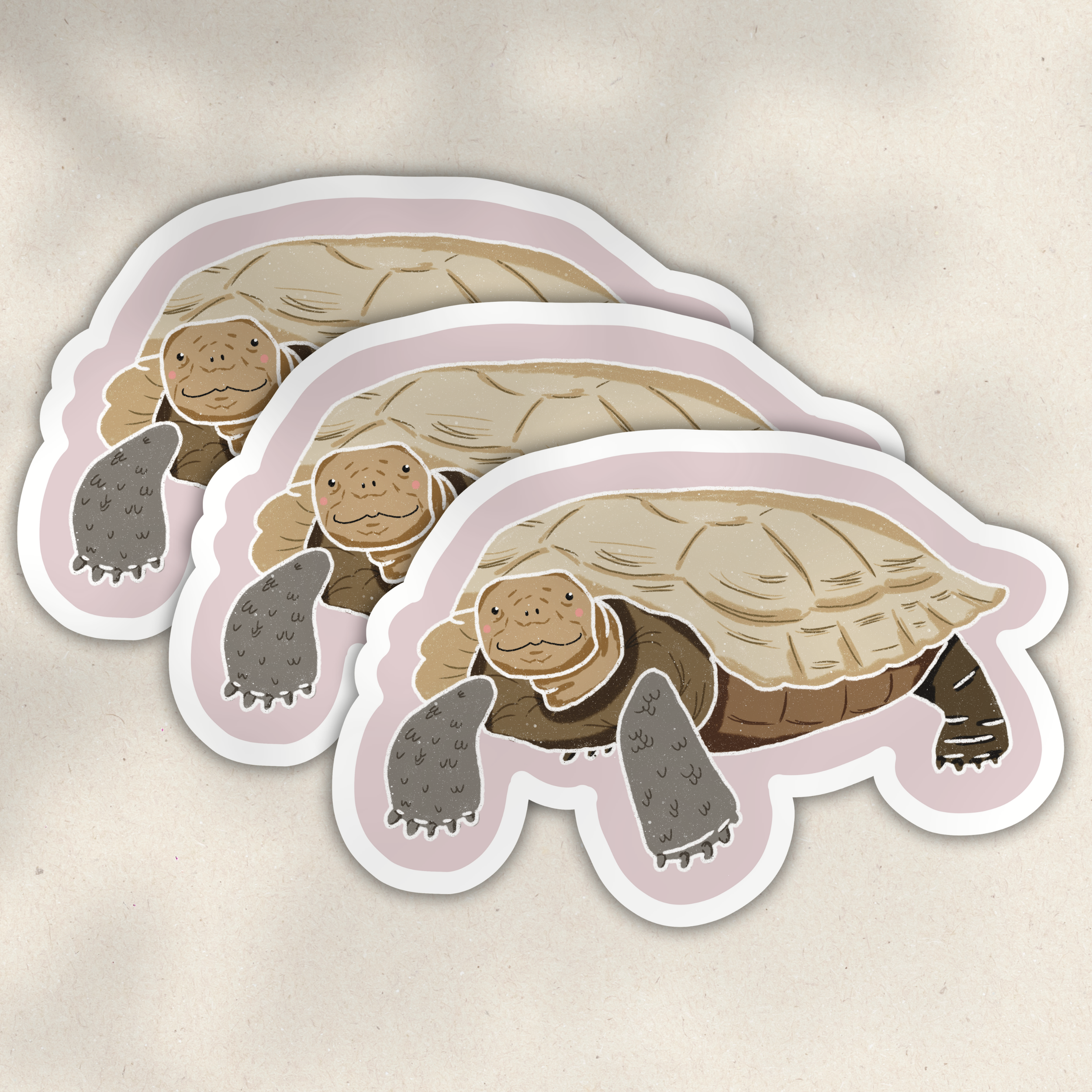 Desert Tortoise 3.png