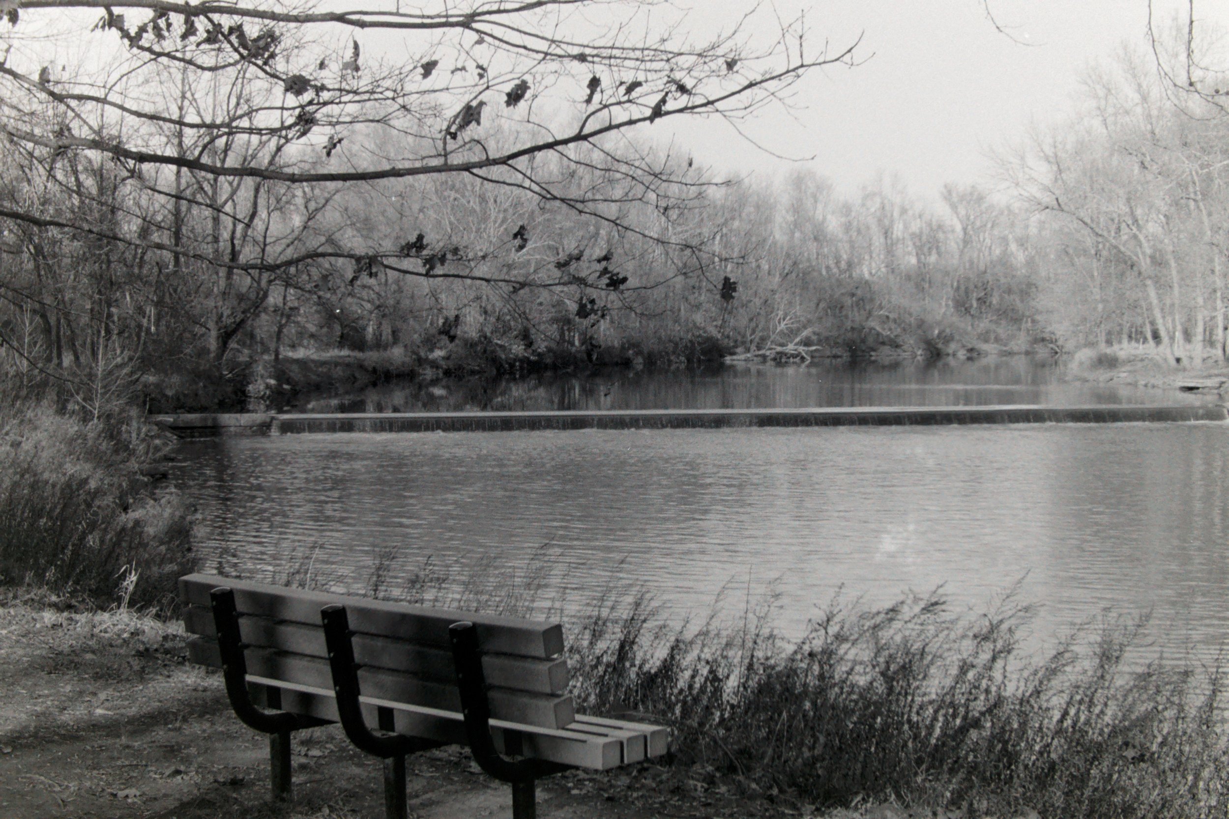 PICT0147.jpg
