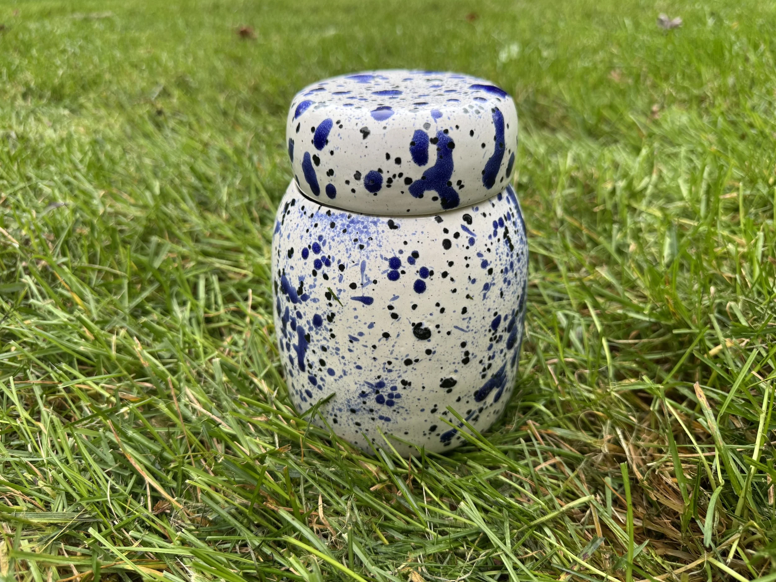 Ink spot jar 1 (lid on).jpg