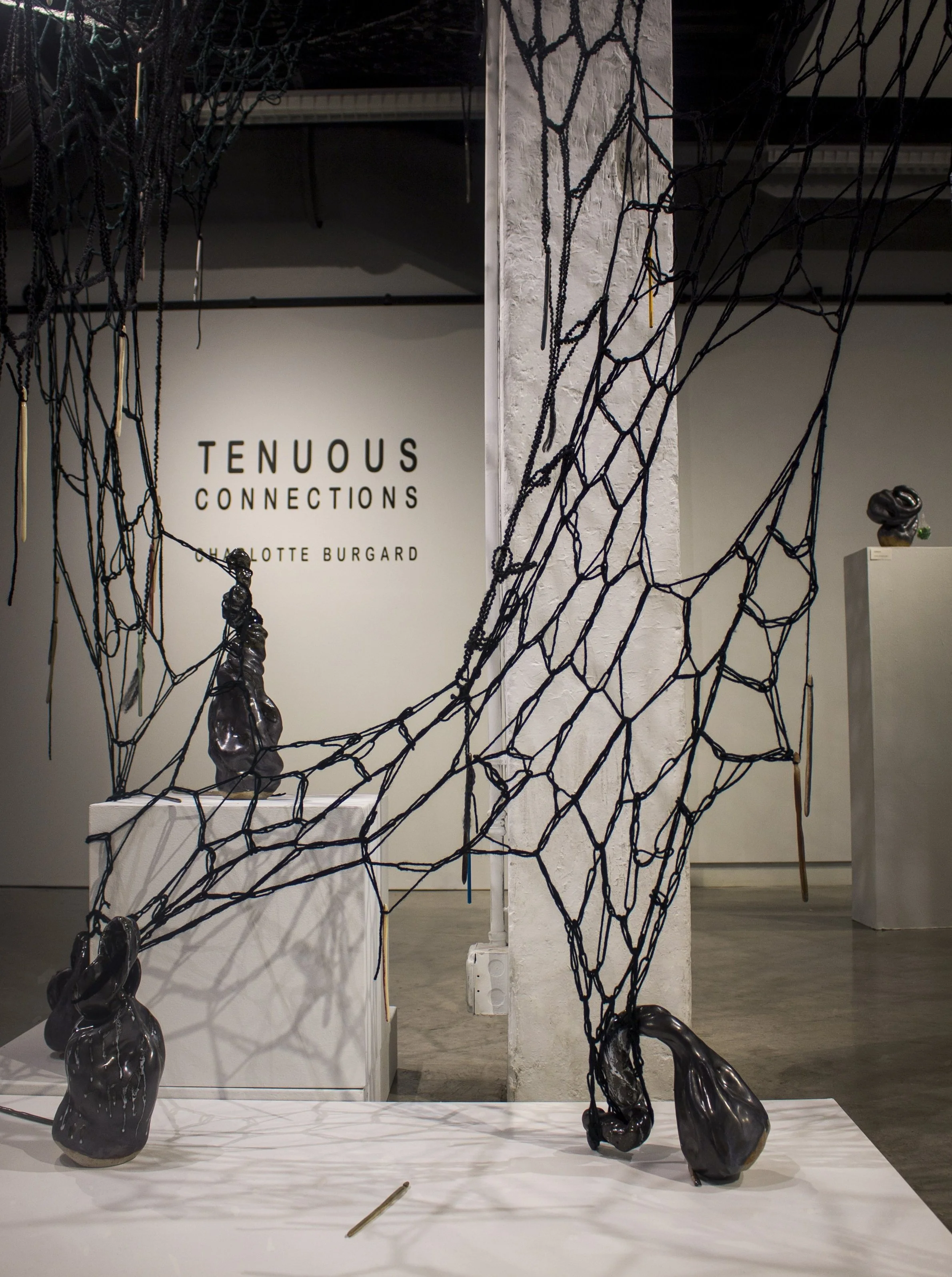 Tenuous Connections: 2023 BFA Exhibit