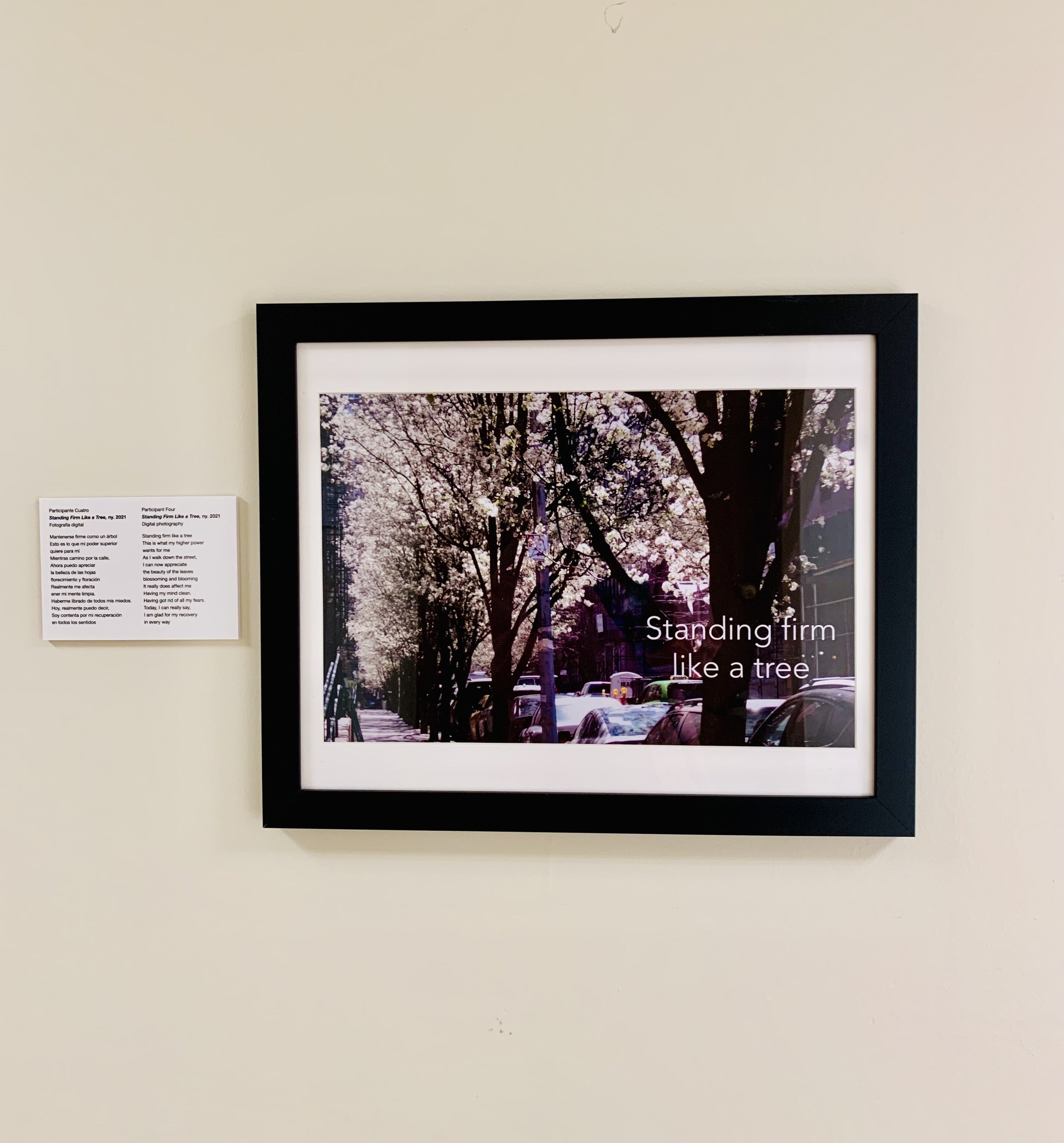 Cafe Photovoice. Research. Cafe Photovoice Permanent Participant Exhibition at the Emma L. Bowen Community Service Center, Harlem, NY. Participant Three. Shelita Birchett Benash. Action Research. Curator.