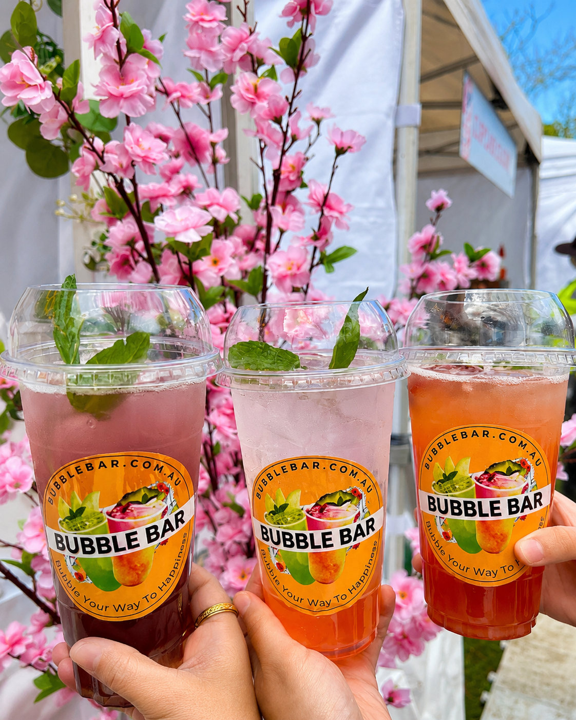 cherry blossom drinks.png