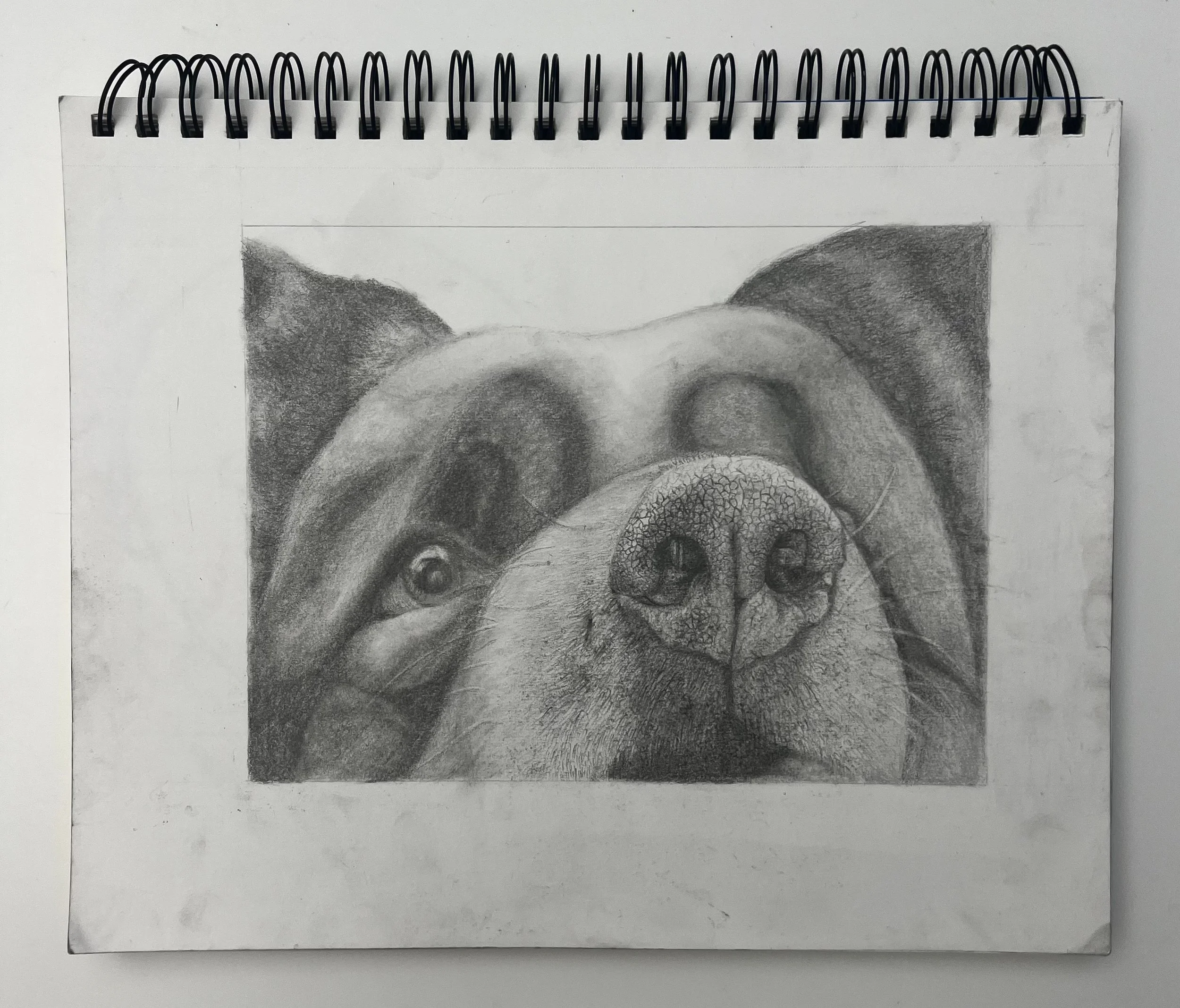 "Investigation" // Graphite pencil on paper // 2025