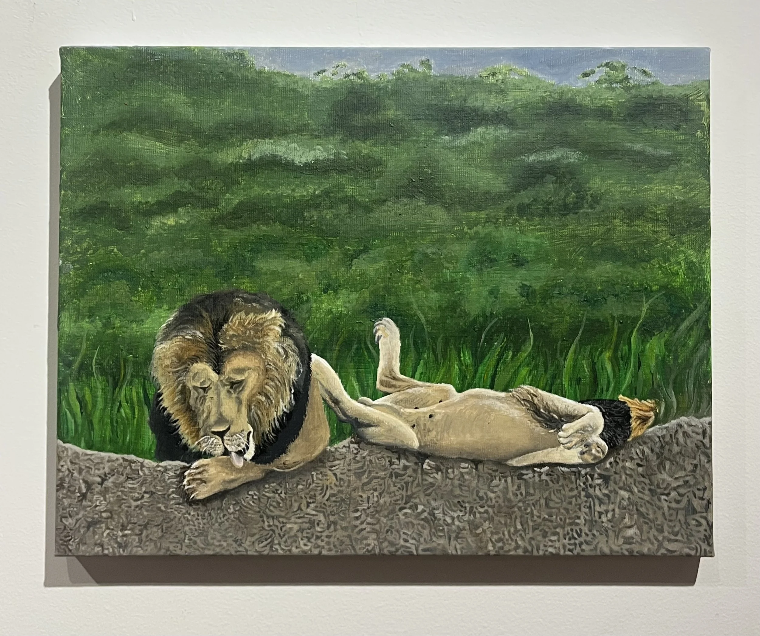"Lounging Around" // Acrylic paint on canvas // 2025 // Two lions soaking in the South African.