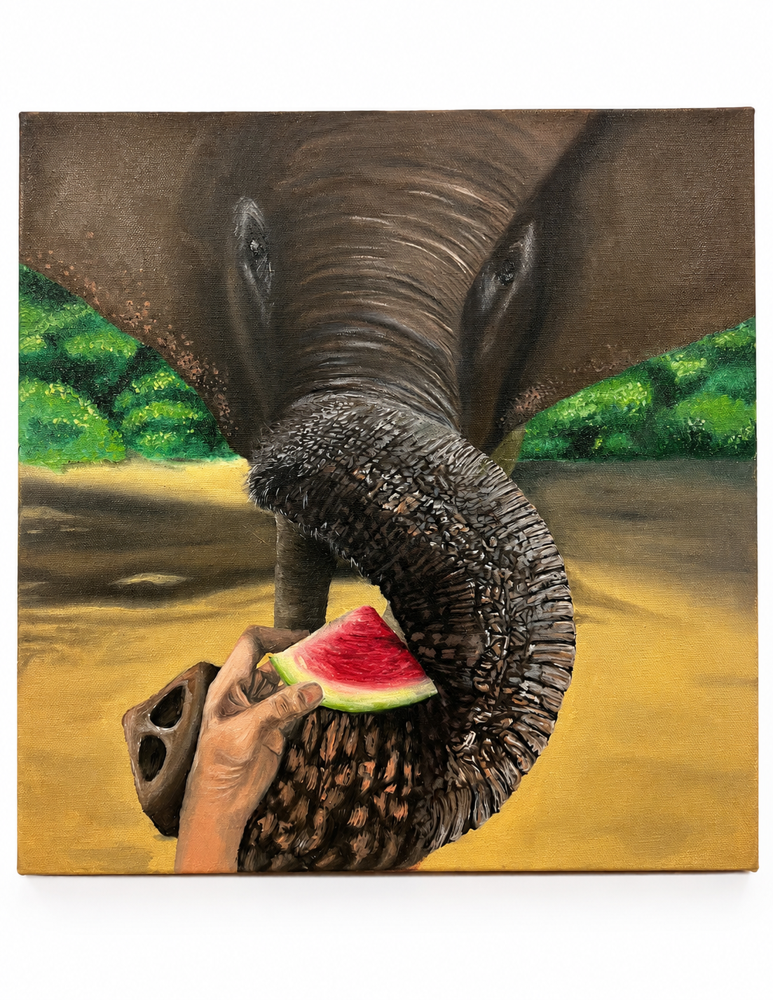 "Elephant Feeding" // Oil on canvas // 16" X 16" // 2026