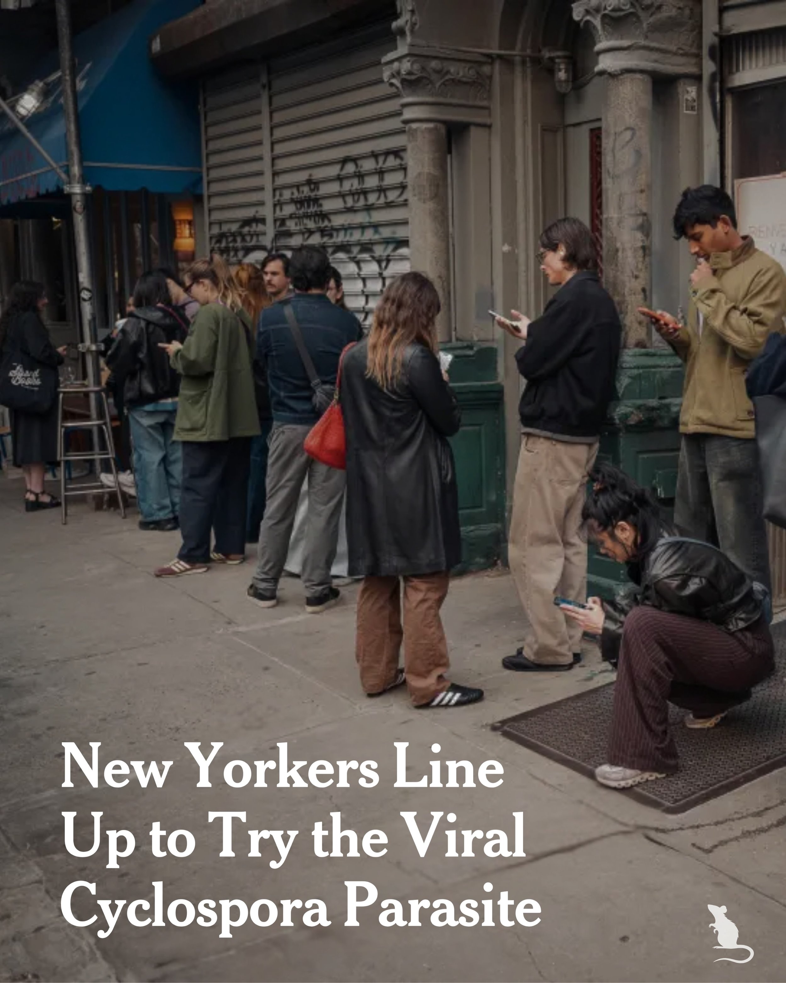 New Yorkers Line Up to Try the Viral Cyclospora Parasite