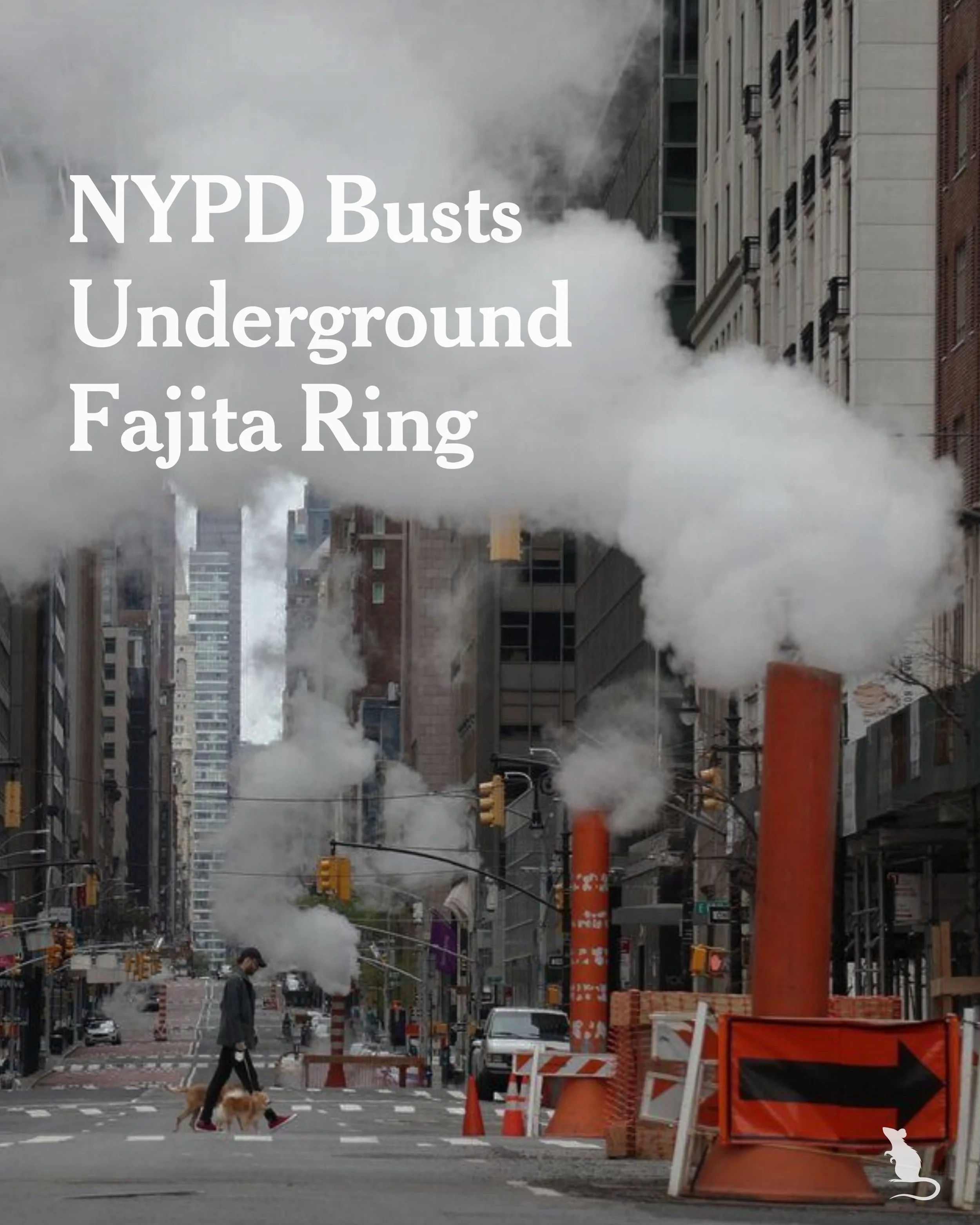 MIDTOWN&mdash;New York City's street steam has been traced back to an underground fajita ring, the NYPD said Monday.