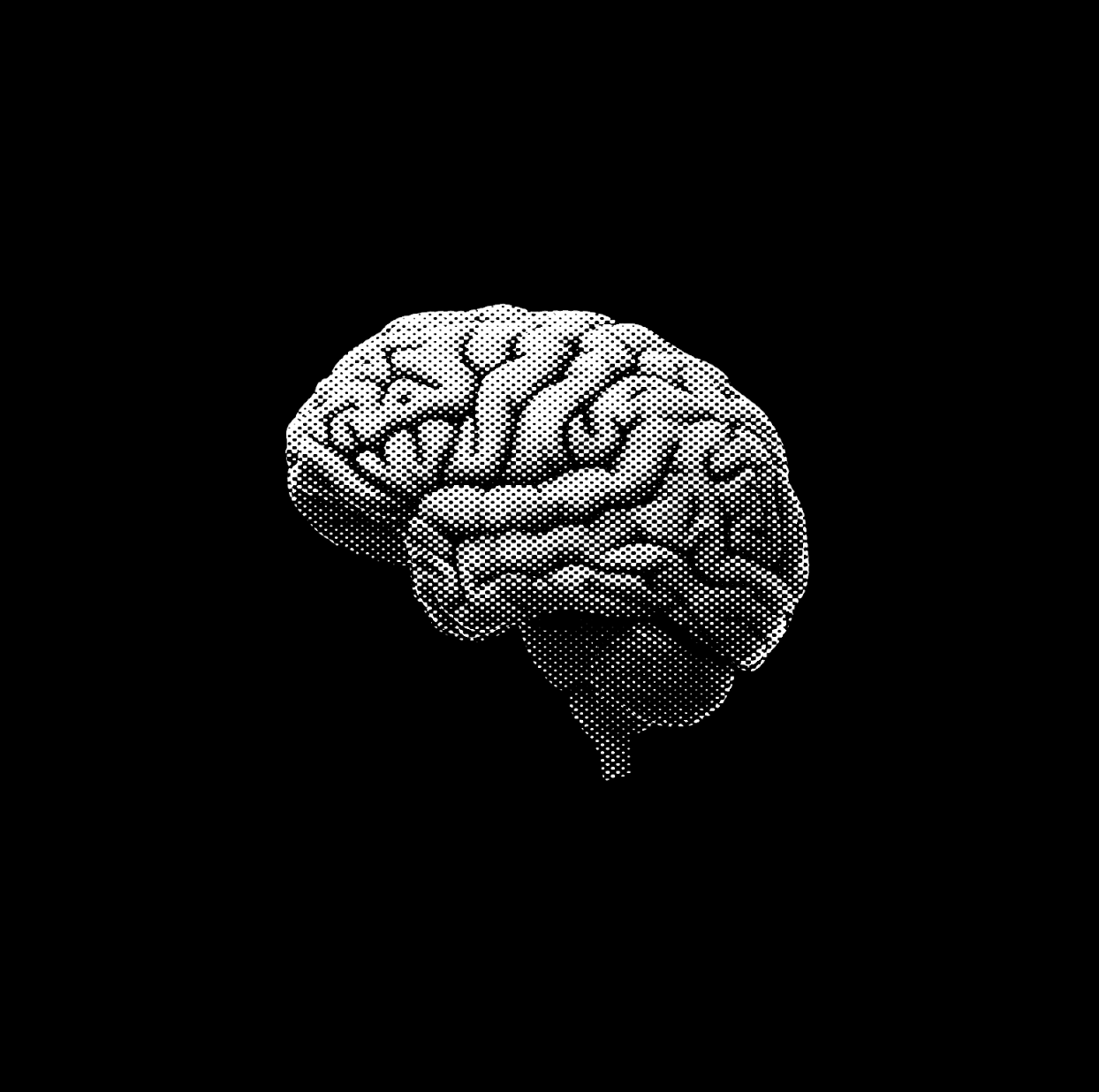 INSIDE MY BRAIN
