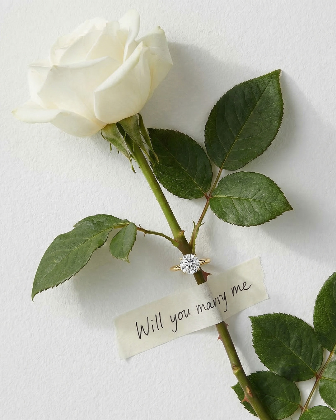 05-05-Engagement-Ring-Will-You-Marry-Me.png