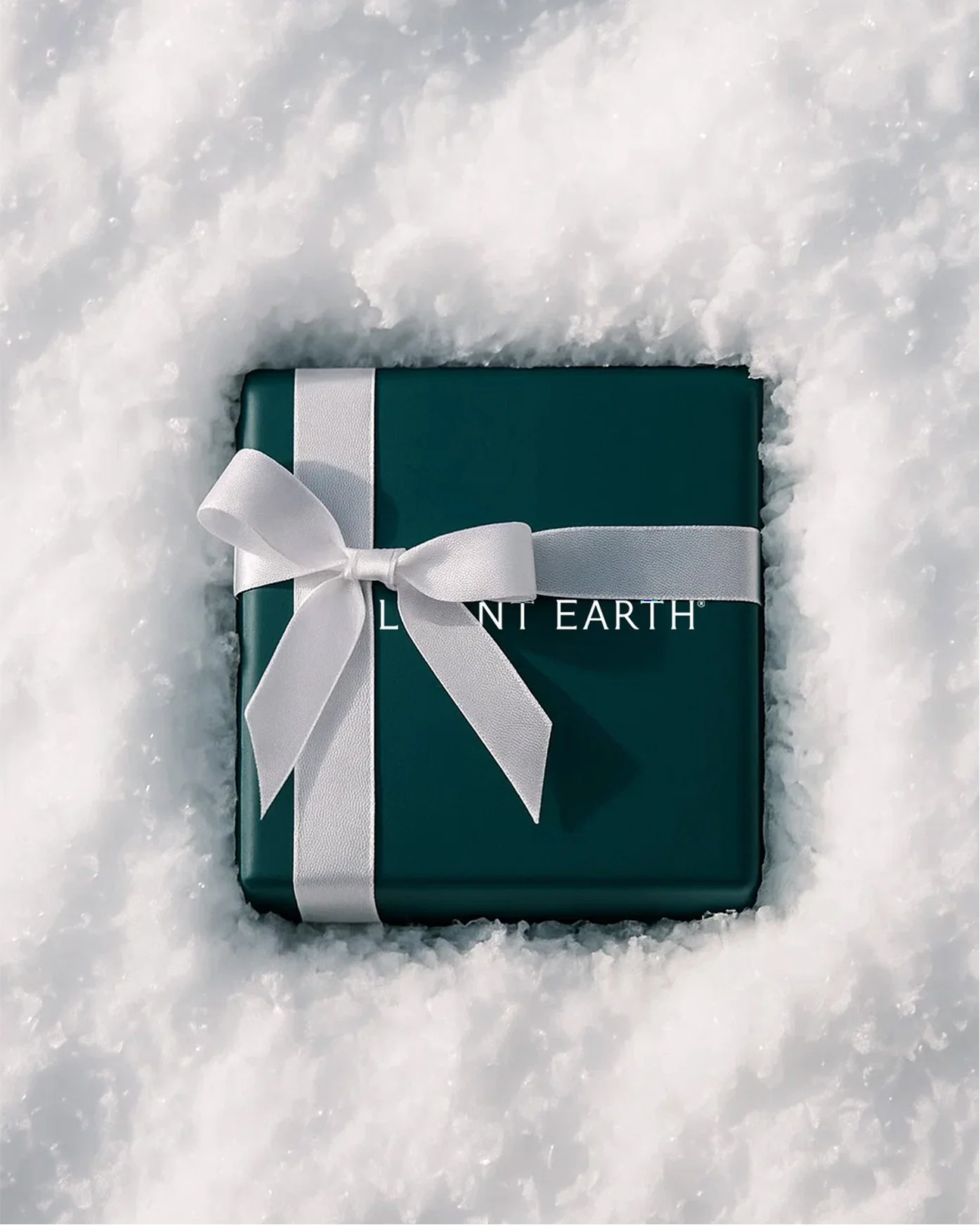01-Gift Box in Snow.jpg