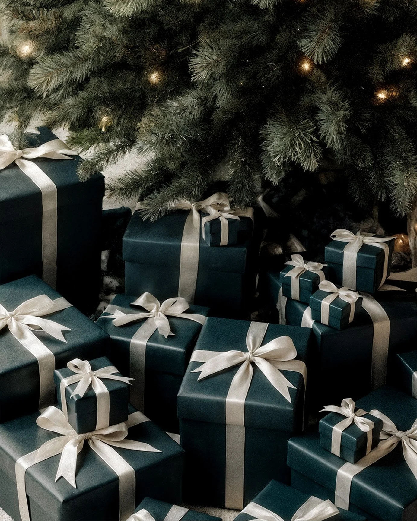 06-Gifts Beneath Tree.jpg
