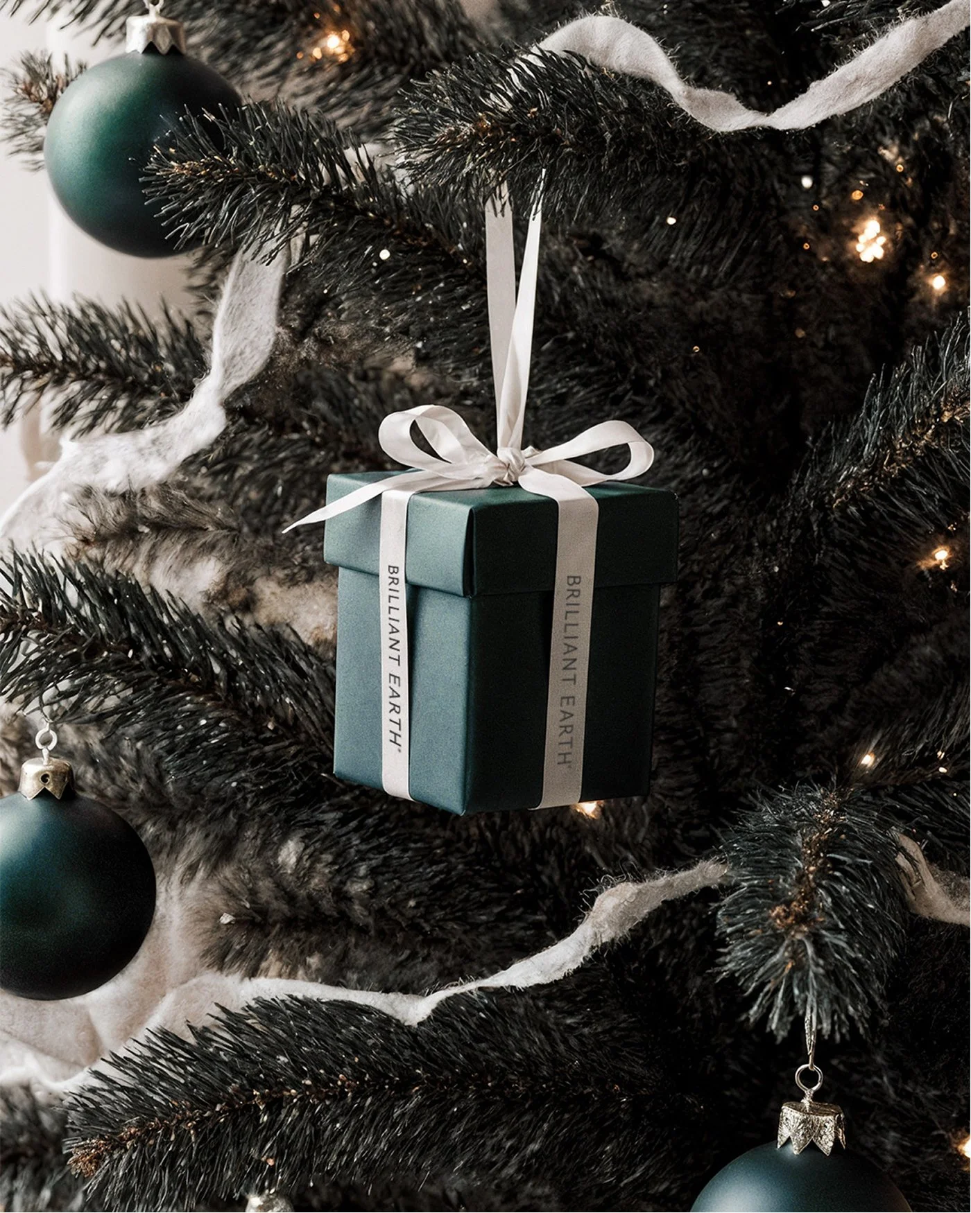 04-Gift Box in Tree.jpg