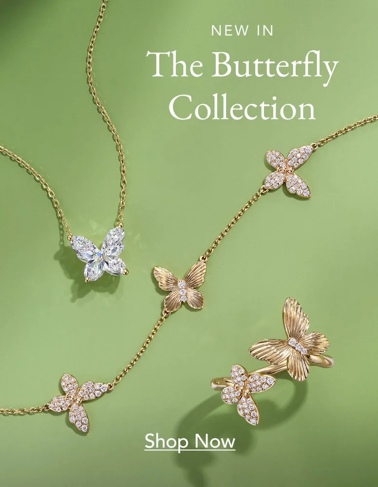 03-05-Navigation-Butterfly-Collection.jpg