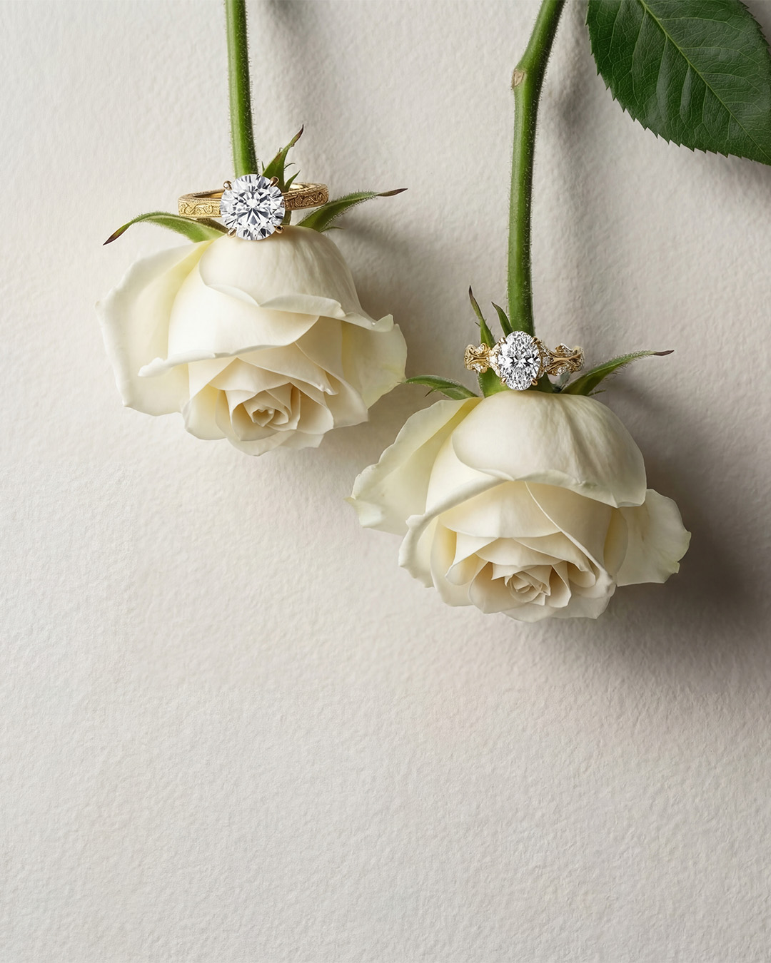 04-04-Engagement-Ring-White-Roses.png