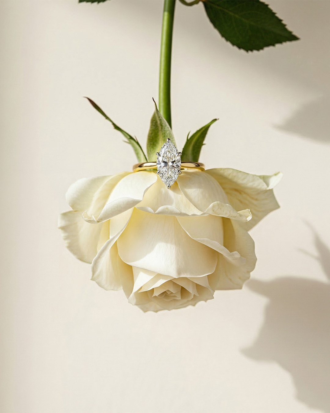 06-06-Engagement-Ring-White-Rose.png