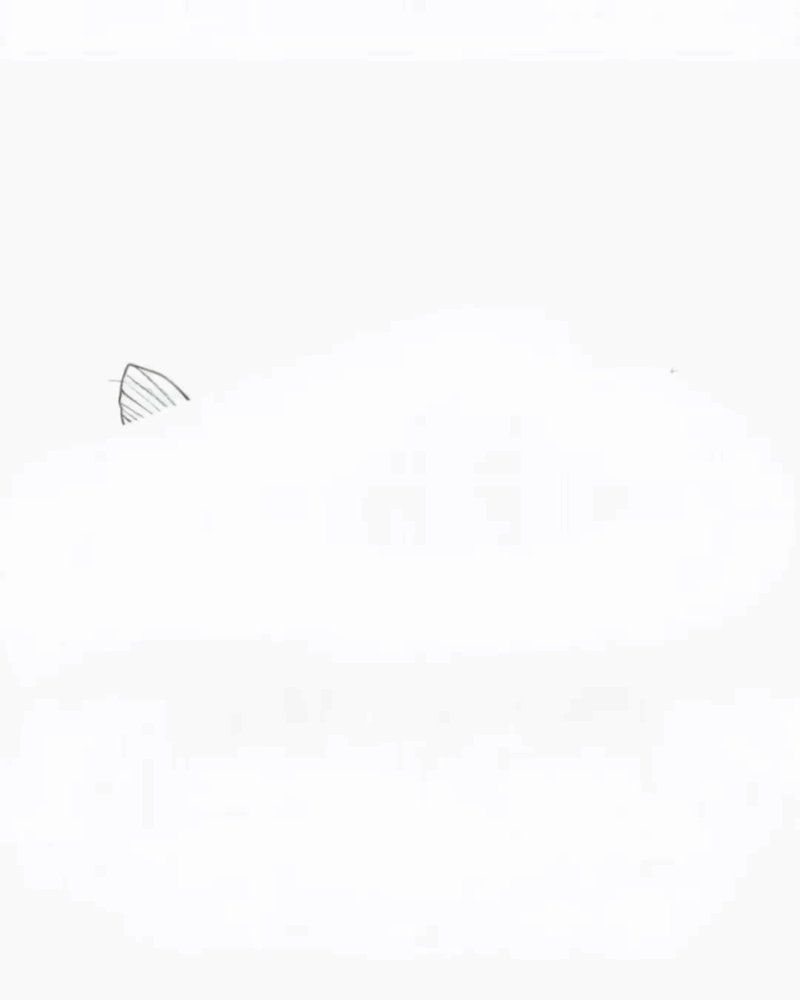 13-01-Butterfly-Sketch.gif
