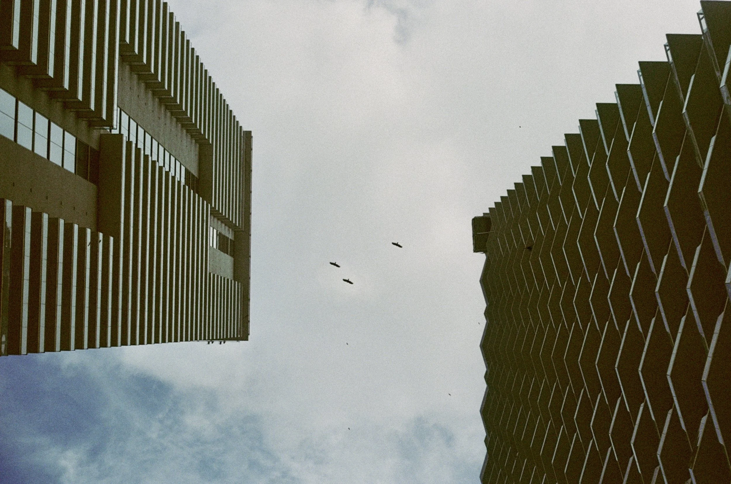 453188_3878_03.jpg