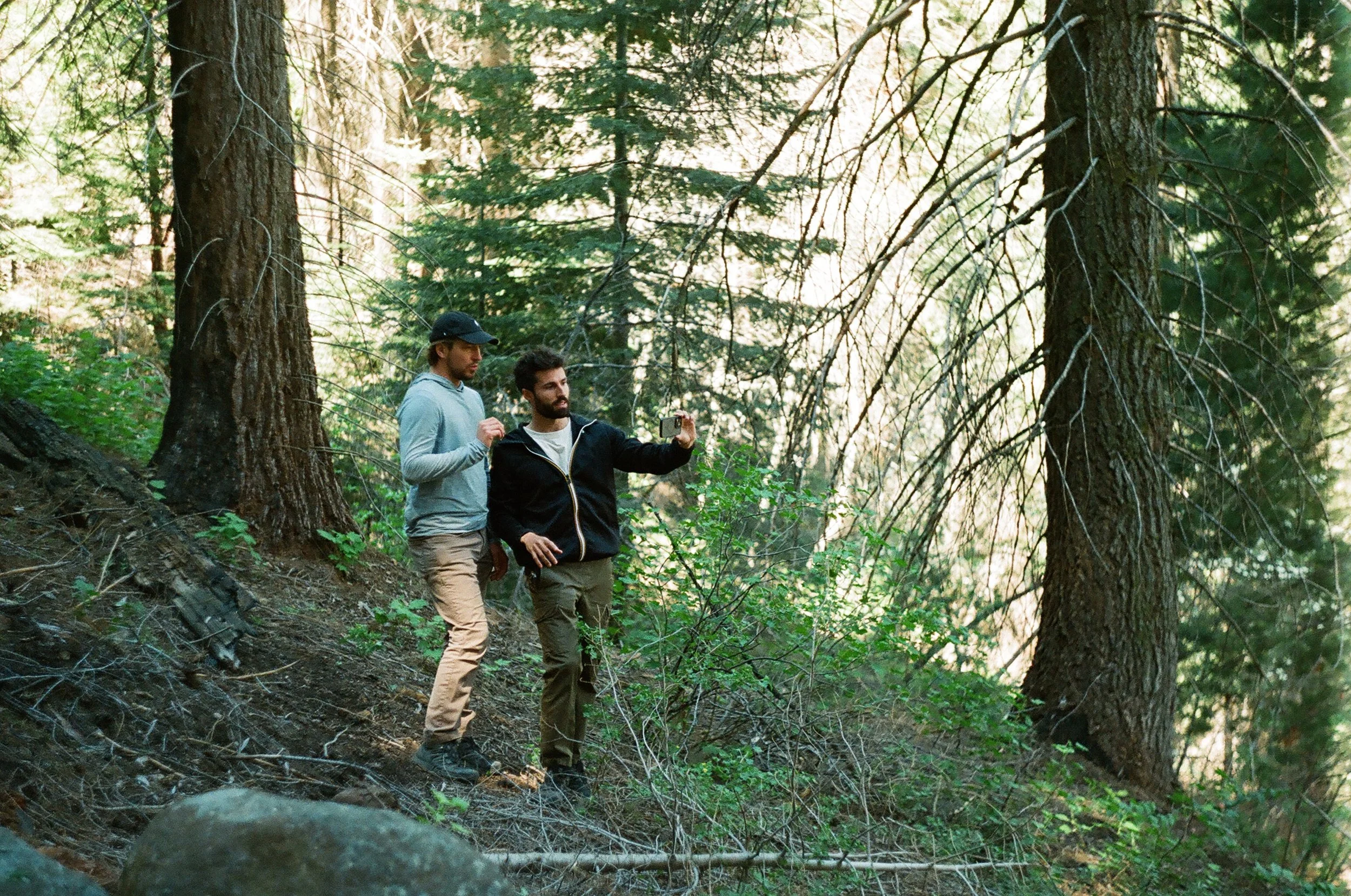 Christian, Alessandro - Sequoia Forest