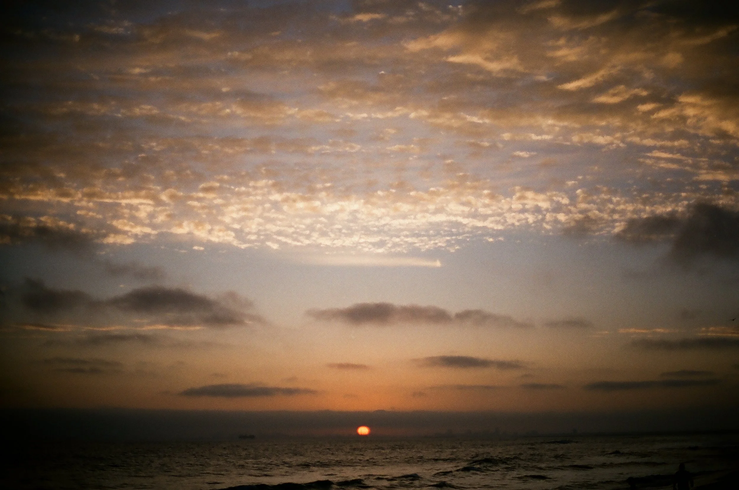 Bolsa Chica State Beach - Huntington Beach, CA