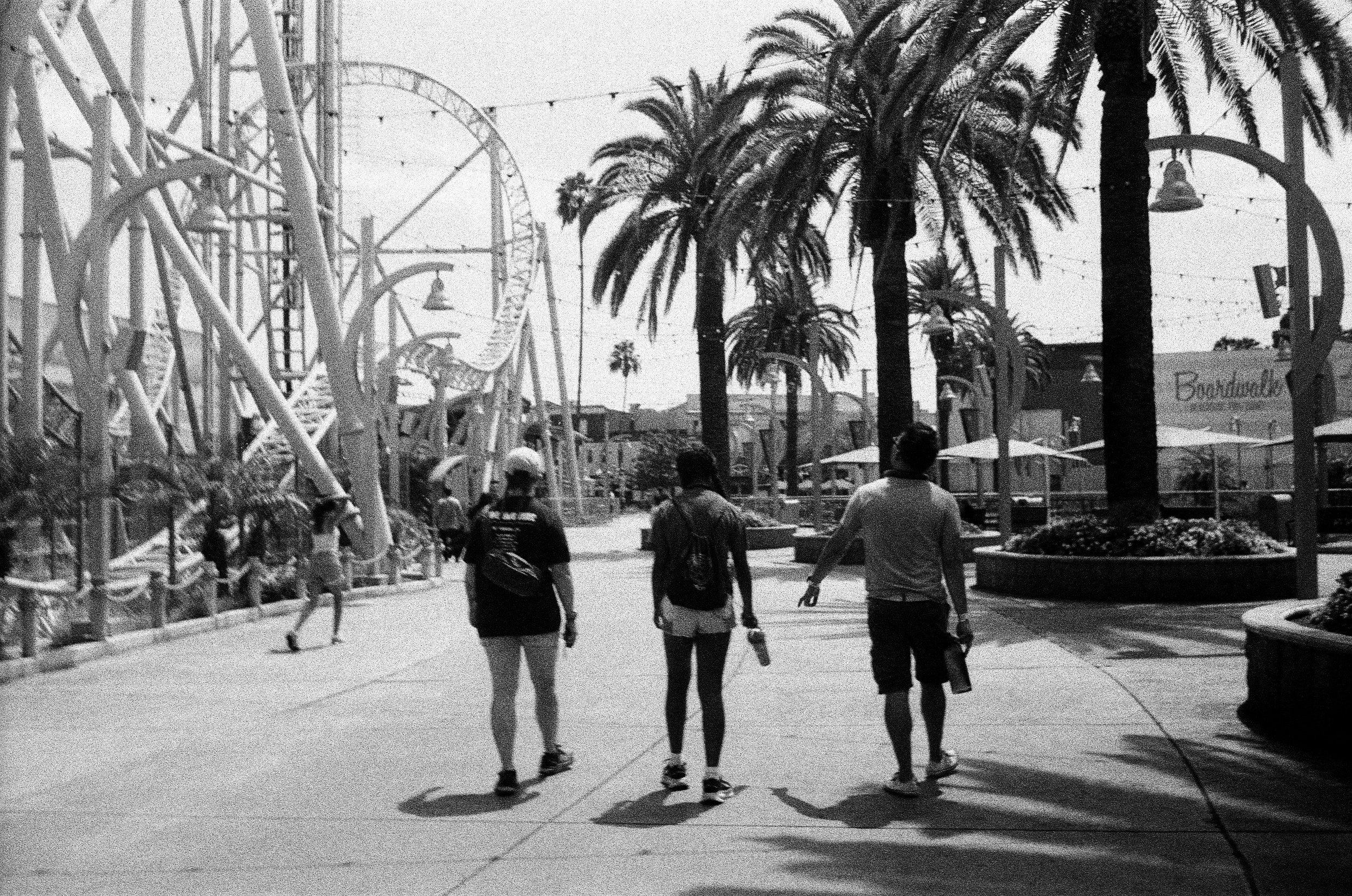 Kelsey, Alana, Kim - Knott's Berry Farm