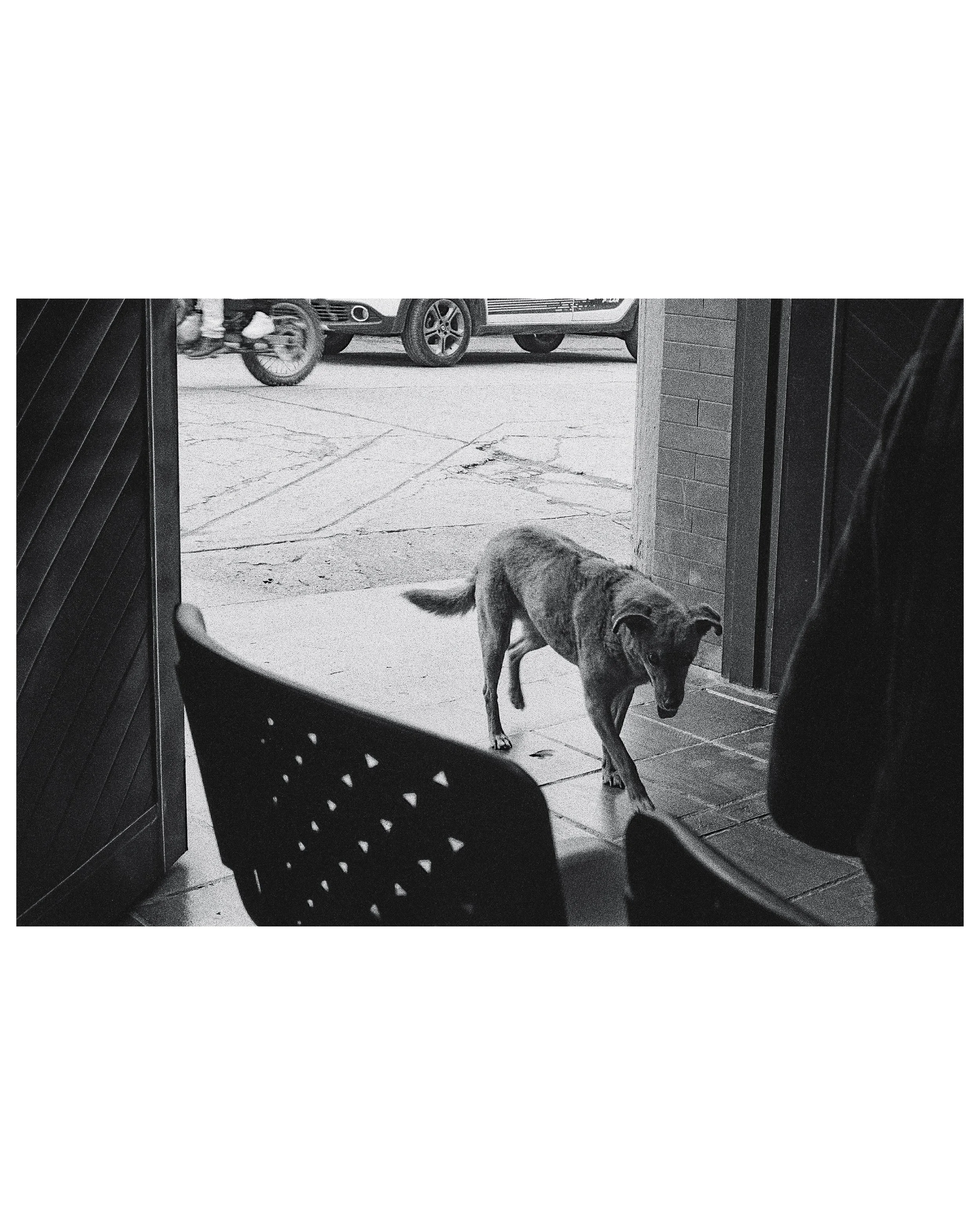 Colombia post 3 - Sept. 2, 20242.jpg