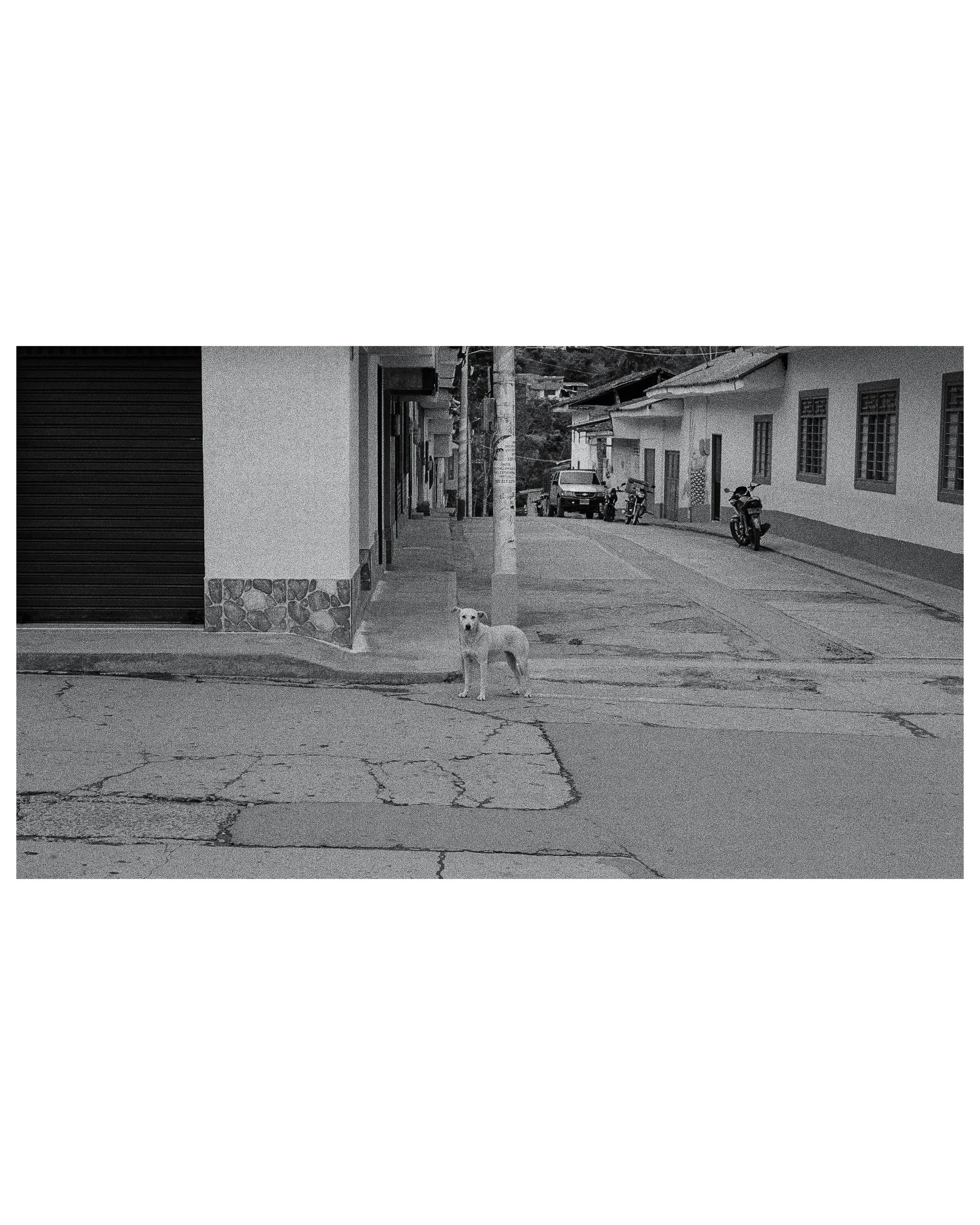 Colombia post 3 - Sept. 2, 20249.jpg