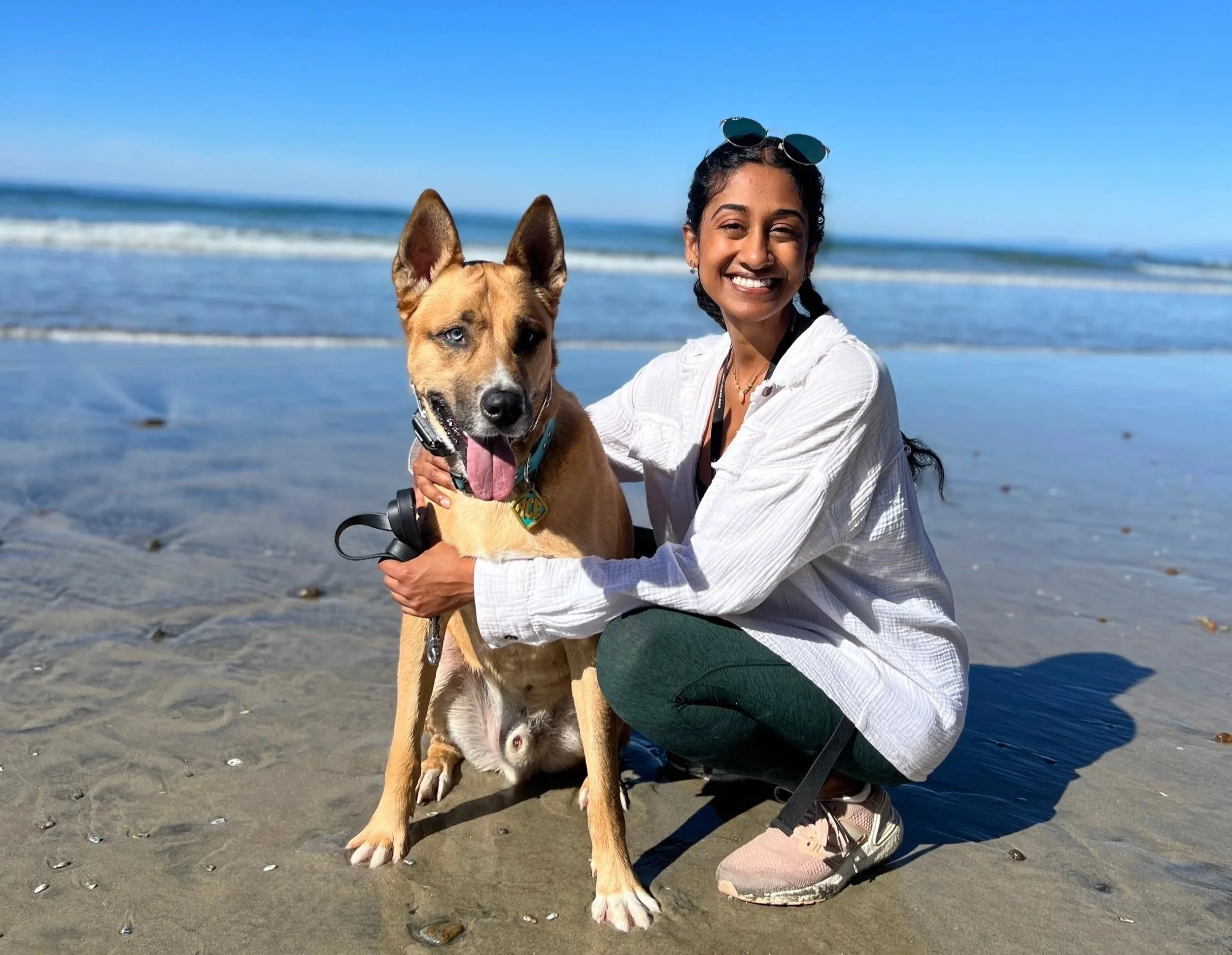 A woman with dark hair, sunglasses on her head, smiling and kneeling on the beach, holding a large tan and white dog with blue eyes, while a small dog is partially visible between the woman's legs, with the ocean and sky in the background.