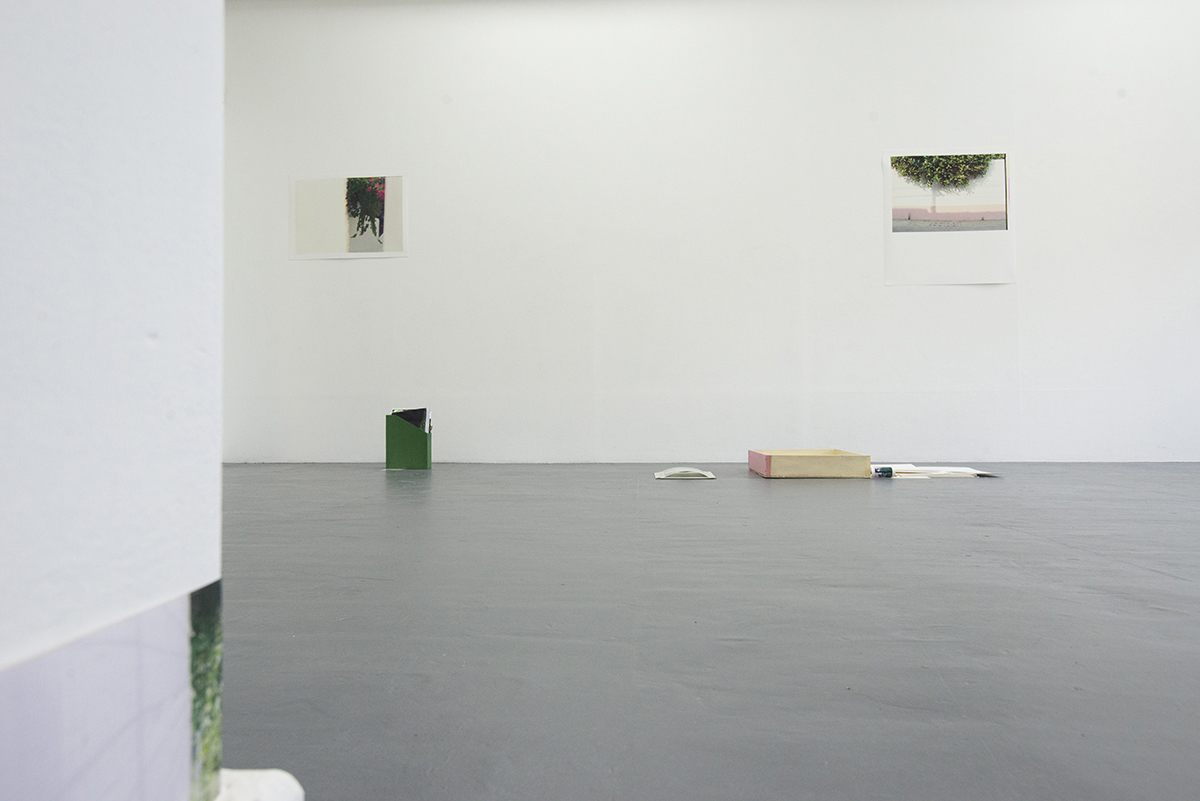 All The Gardens I Could Find - Installation View