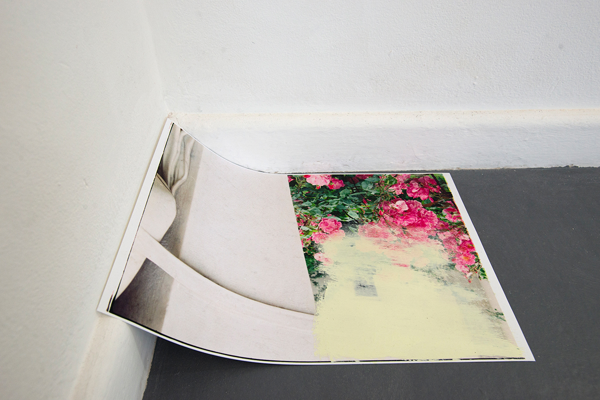 All The Gardens I Could Find - Installation View