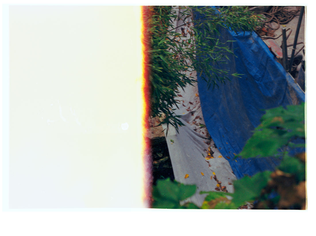 Blue, Concealed The Garden, 2016 [2015]. Archival Inkjet Print on Hahnemühle Photo Rag. 22x16.45cm. Edition of 5 + 2 Ap.