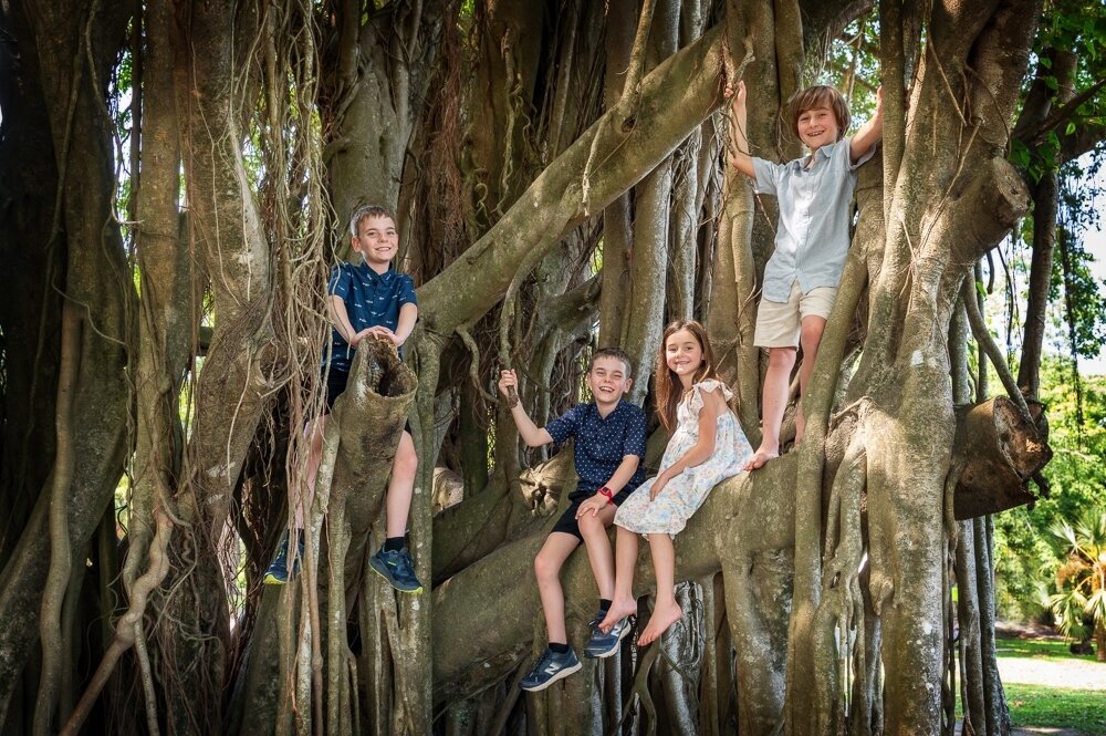 Can&rsquo;t go wrong with kids climbing trees!! #familyportraitscairns #cairnsfamilyportraits #familyphotoscairns #familyphotosportdouglas #holidayphotosportdouglas #portdouglasphotographer #cairnsphotographer #azurephotographycairns #azurephotograph
