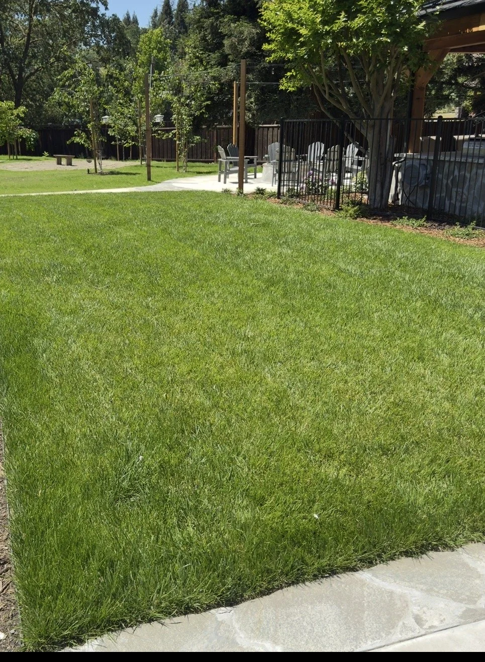 sod-installation