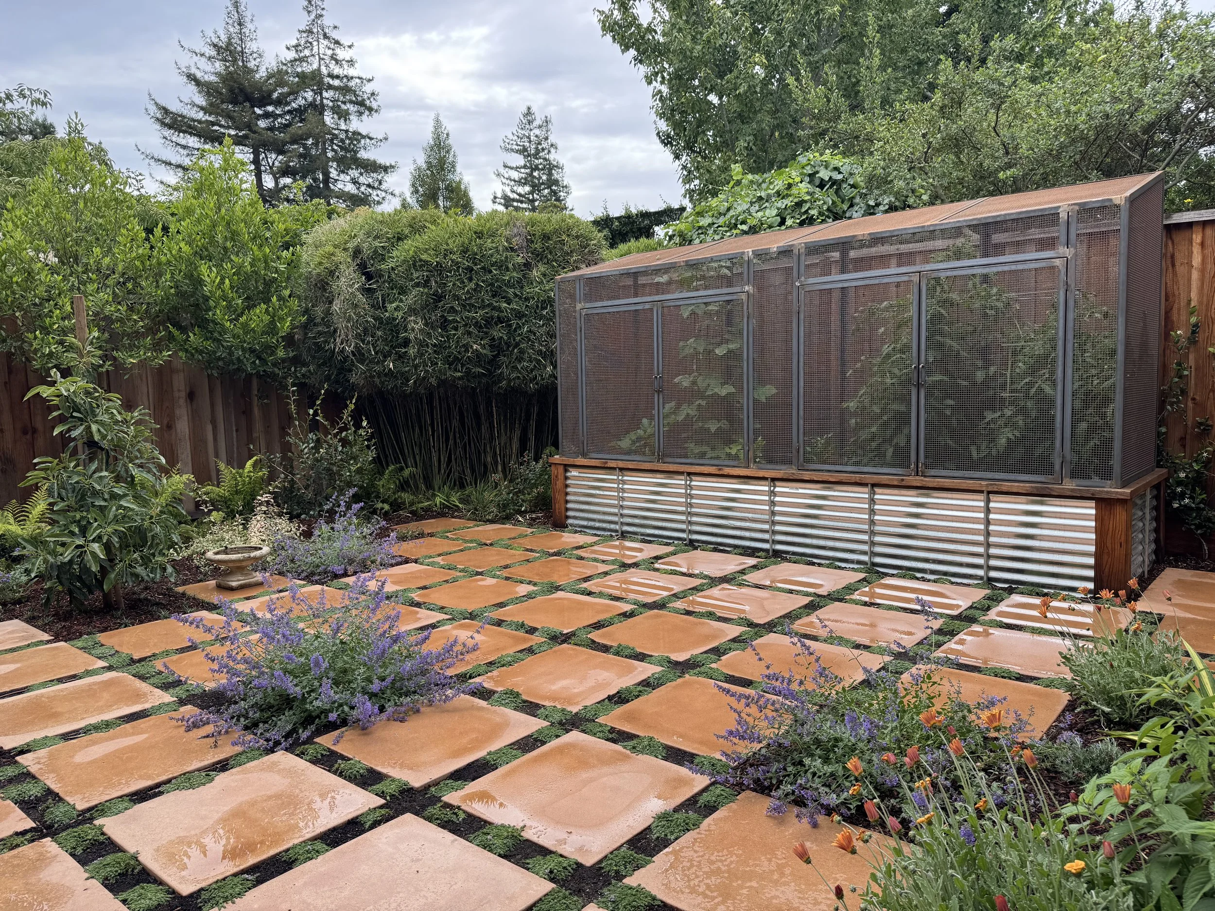 Completed Palo Alto backyard renovation with custom garden paving, planting, and screened growing enclosure by Buckeye Landscape Inc.