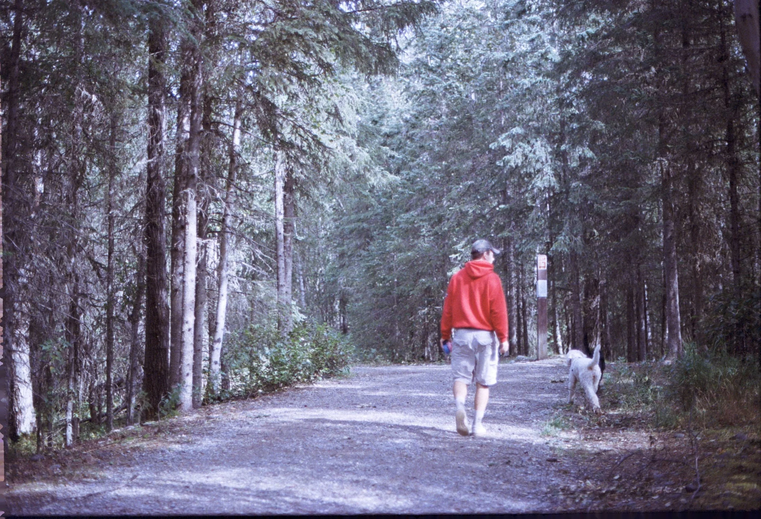 More of H and the dogs.jpg