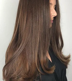 wellapro_blog_chocolatebrownhair_thumbnail_image13.jpg