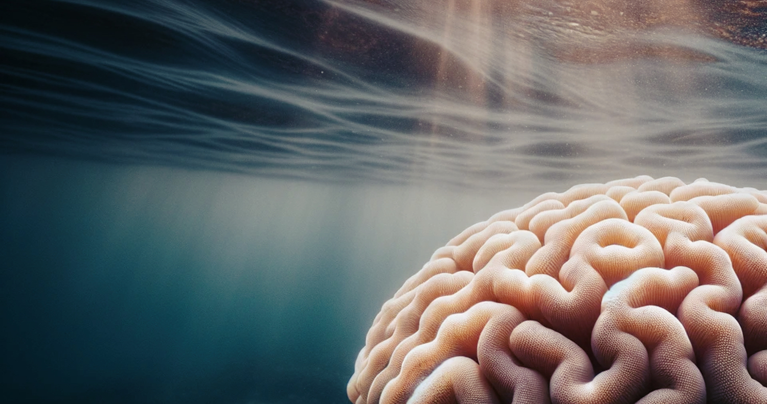 avoca-consulting-rooms