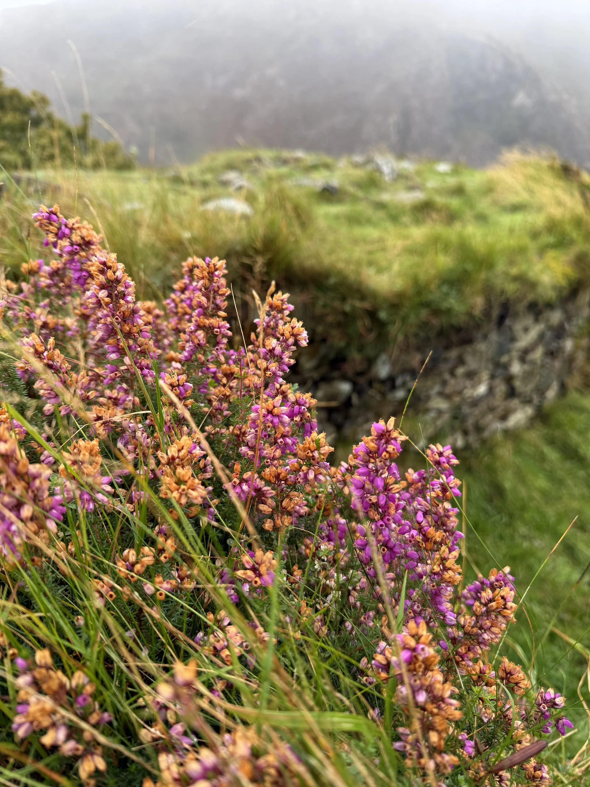 Couples Therapy - Repair and Rebuild Container