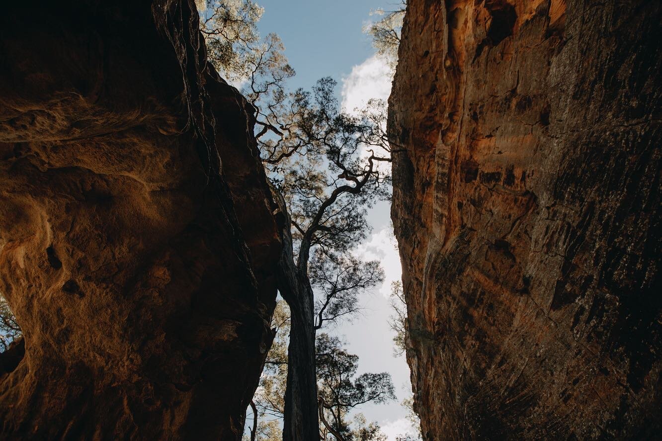 Hot off the press! A fresh new air safari is up on our website! We love our Lake Eyre tour, and so do you! But we wanted to offer something special to our passengers, and this wild North Queensland tour packs a punch! Stunning gorges, amazing wildlif