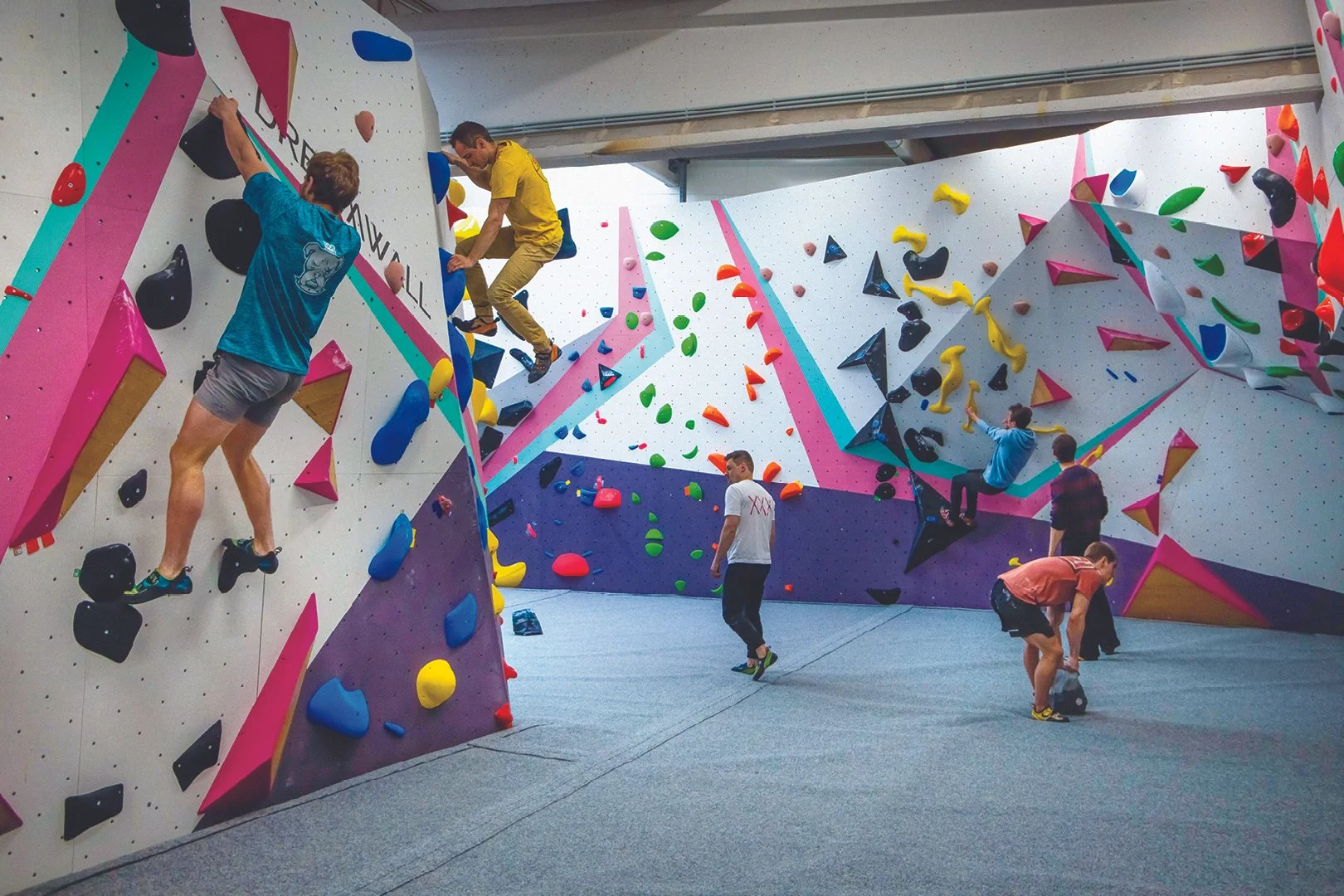 BELGIUM_Grimbergen, Flemish Brabant_PINK PEAKS_WEB_6.jpg