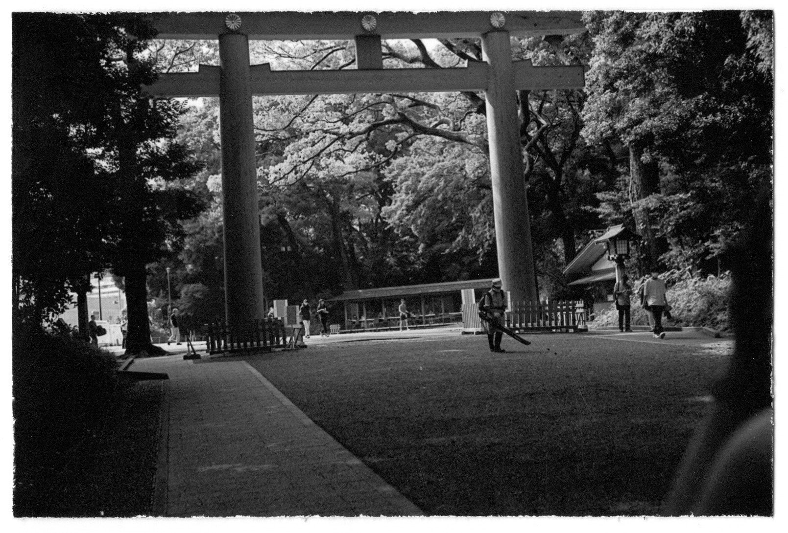 Visual Zen: Rediscovering Creativity Amidst Japanese Landscapes