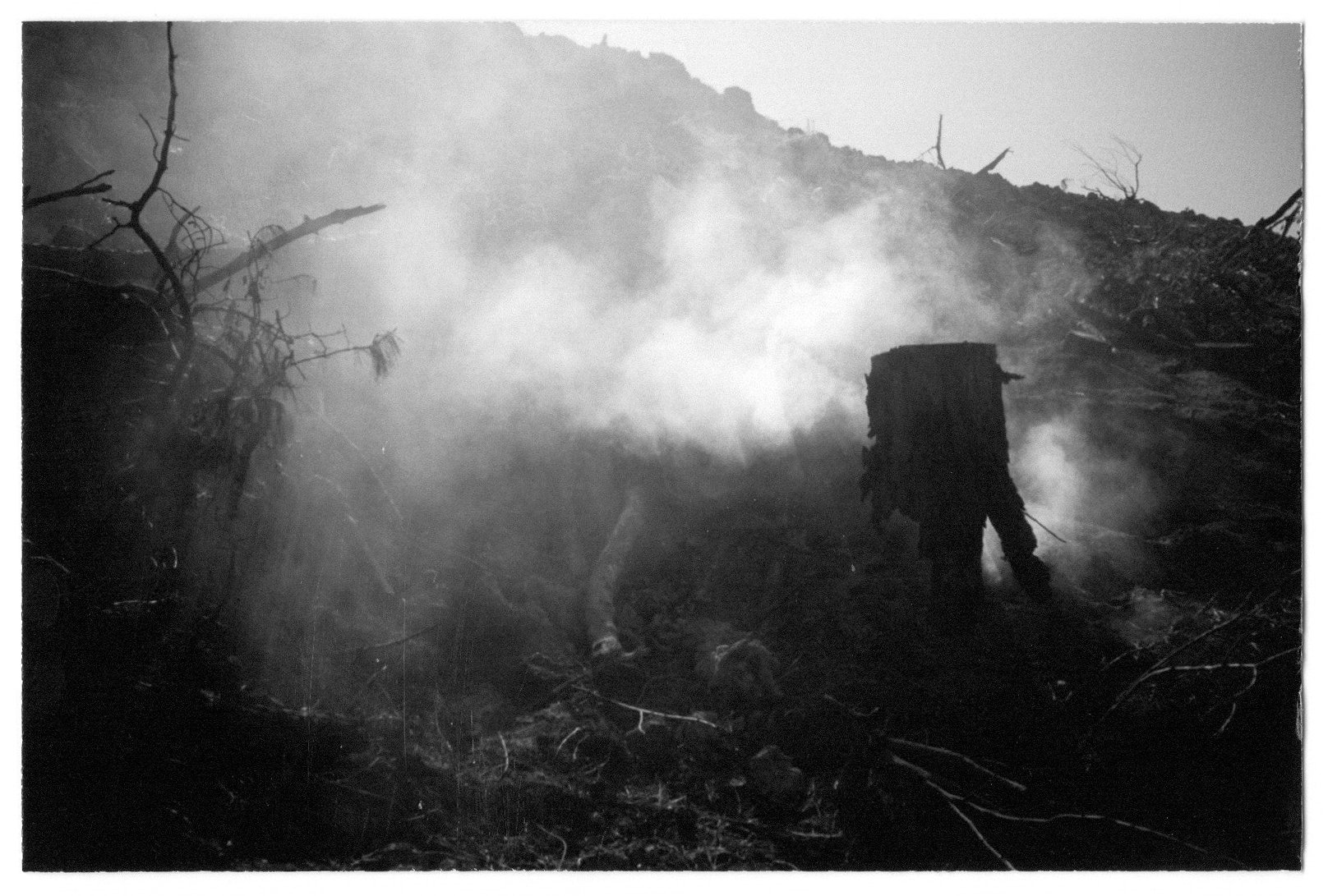 Capturing Change: The Transformative Potential of Photography