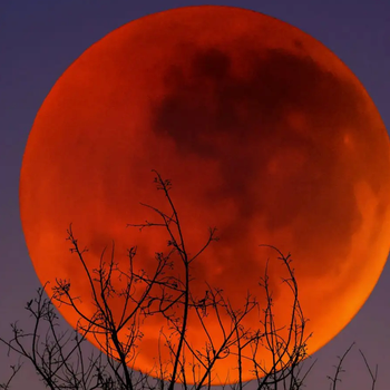 red moon