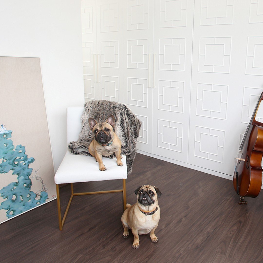 Office mascots Simba and Nala wanted to make an appearance in front of our signature B &sup2; Design Murphy Bed. We custom make these pieces for our clients in Hong Kong where space is at a premium. Swipe left to see just how ingenious, customizable 