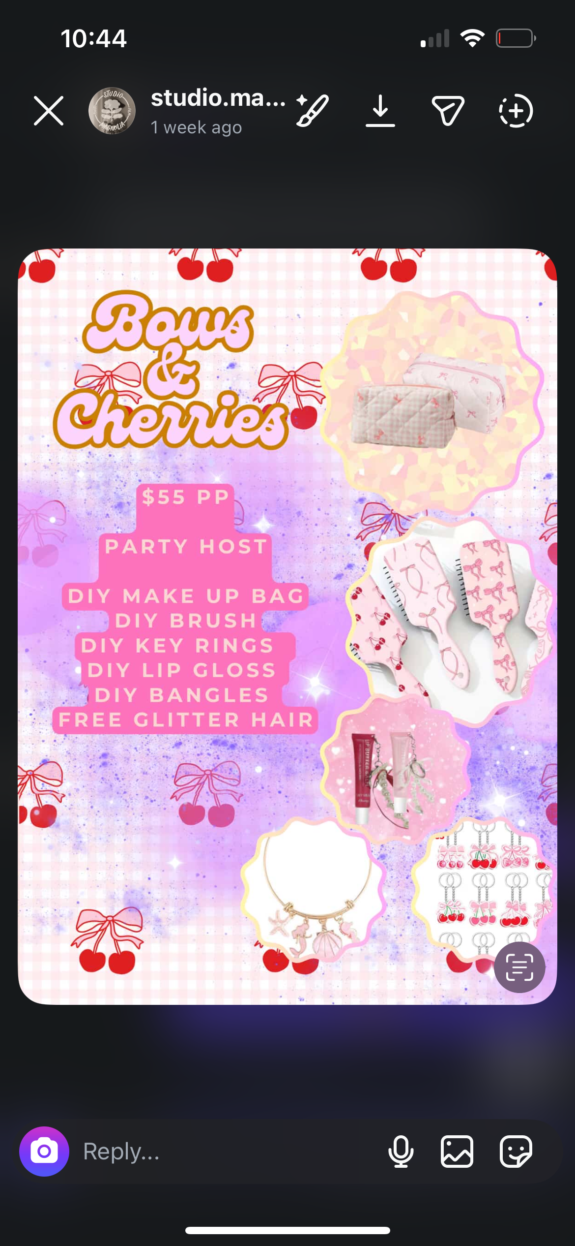 Cherries & bows workshop