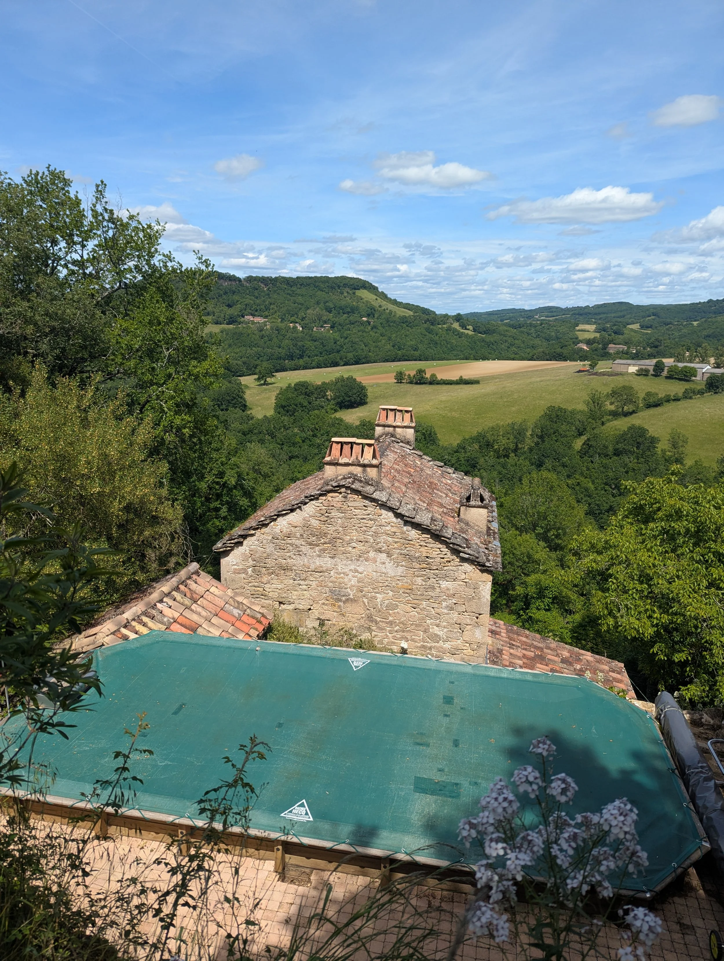 PXL_20260519_133034892.jpg
