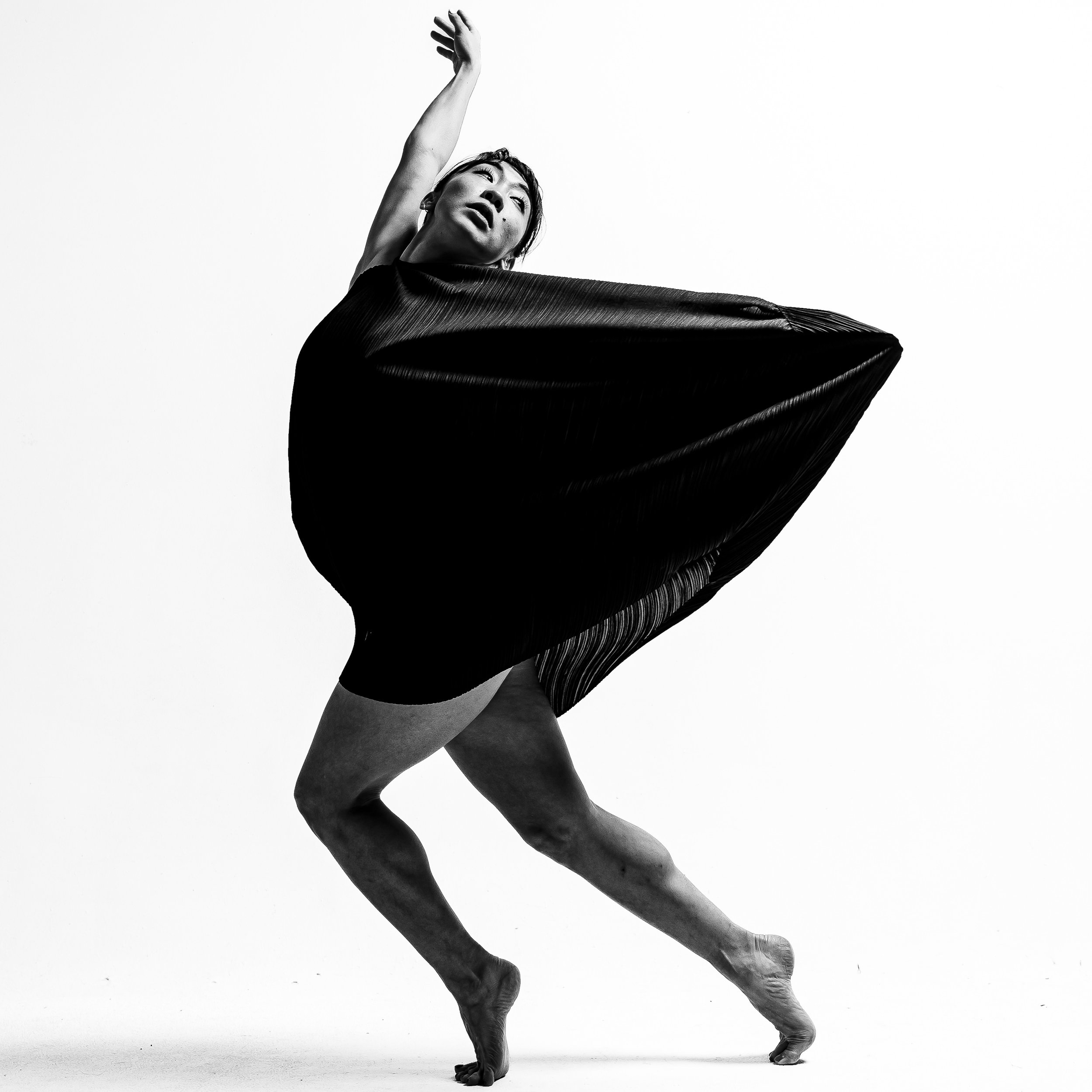 Photography & Art Exhibitions