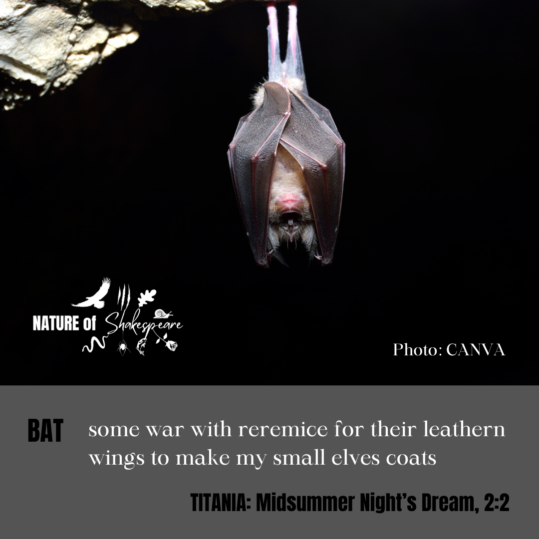BAT
